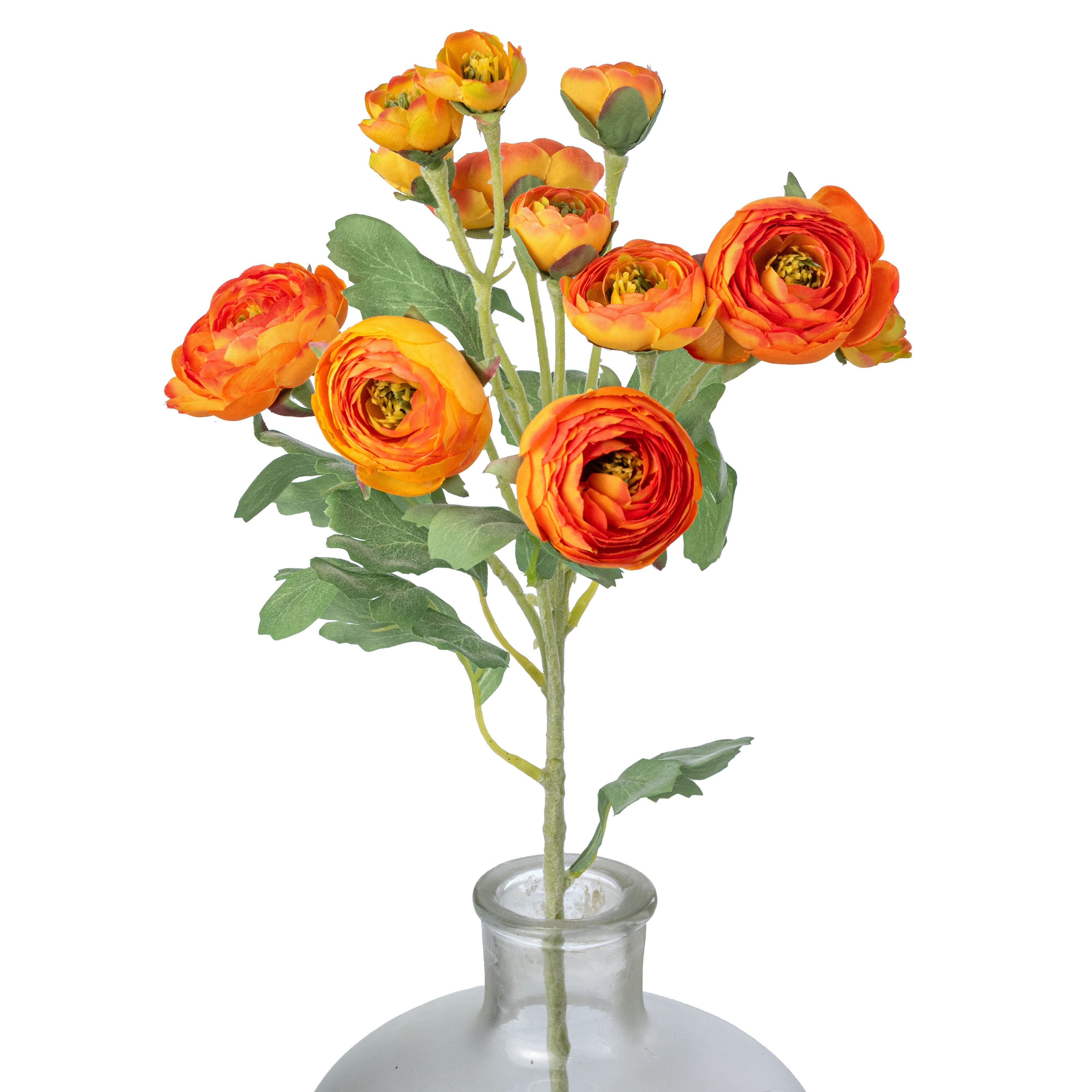 21" Ranunculus Spray: Orange Item Number: 2280021OR