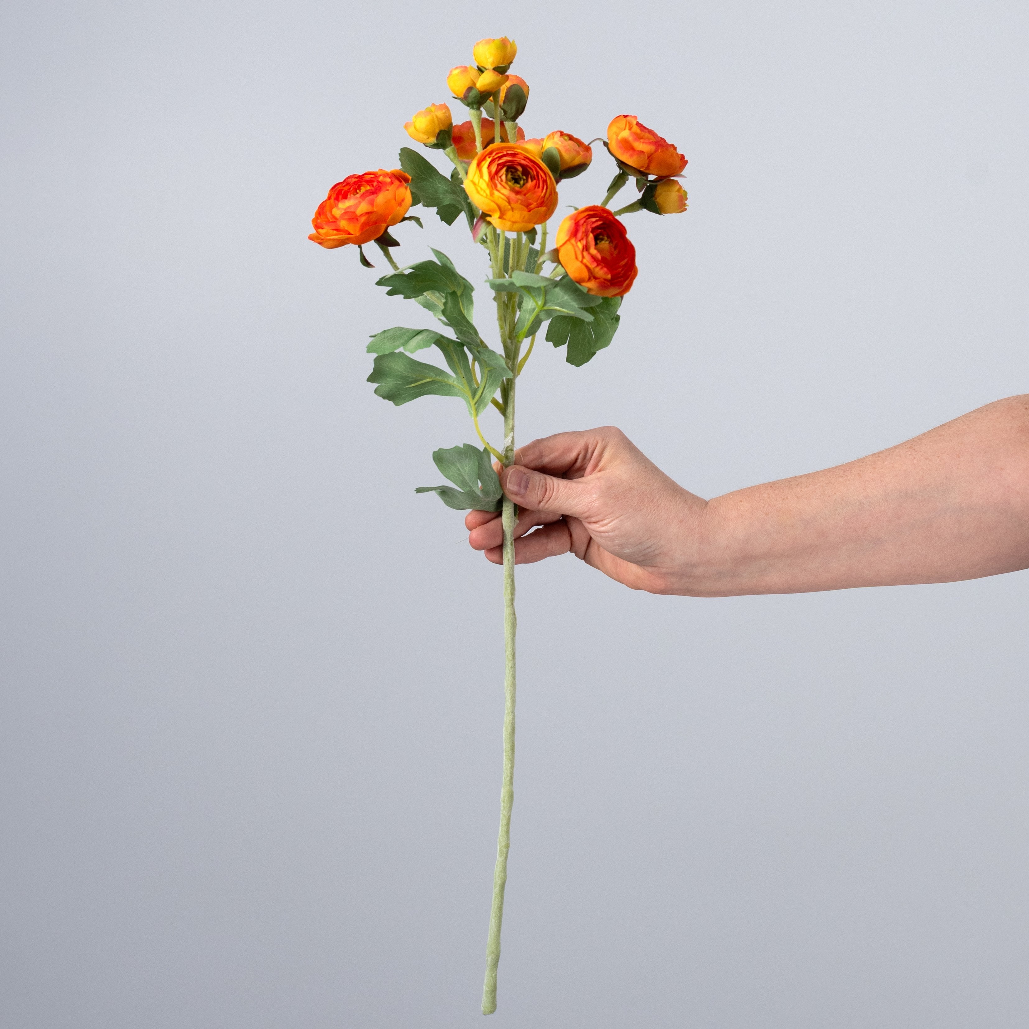 21" Ranunculus Spray: Orange detail photo 3