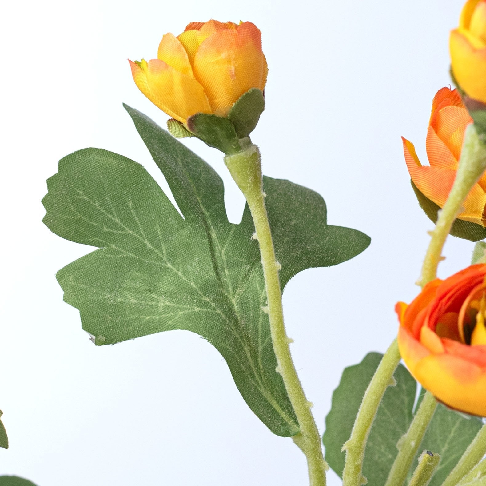 21" Ranunculus Spray: Orange detail photo 4