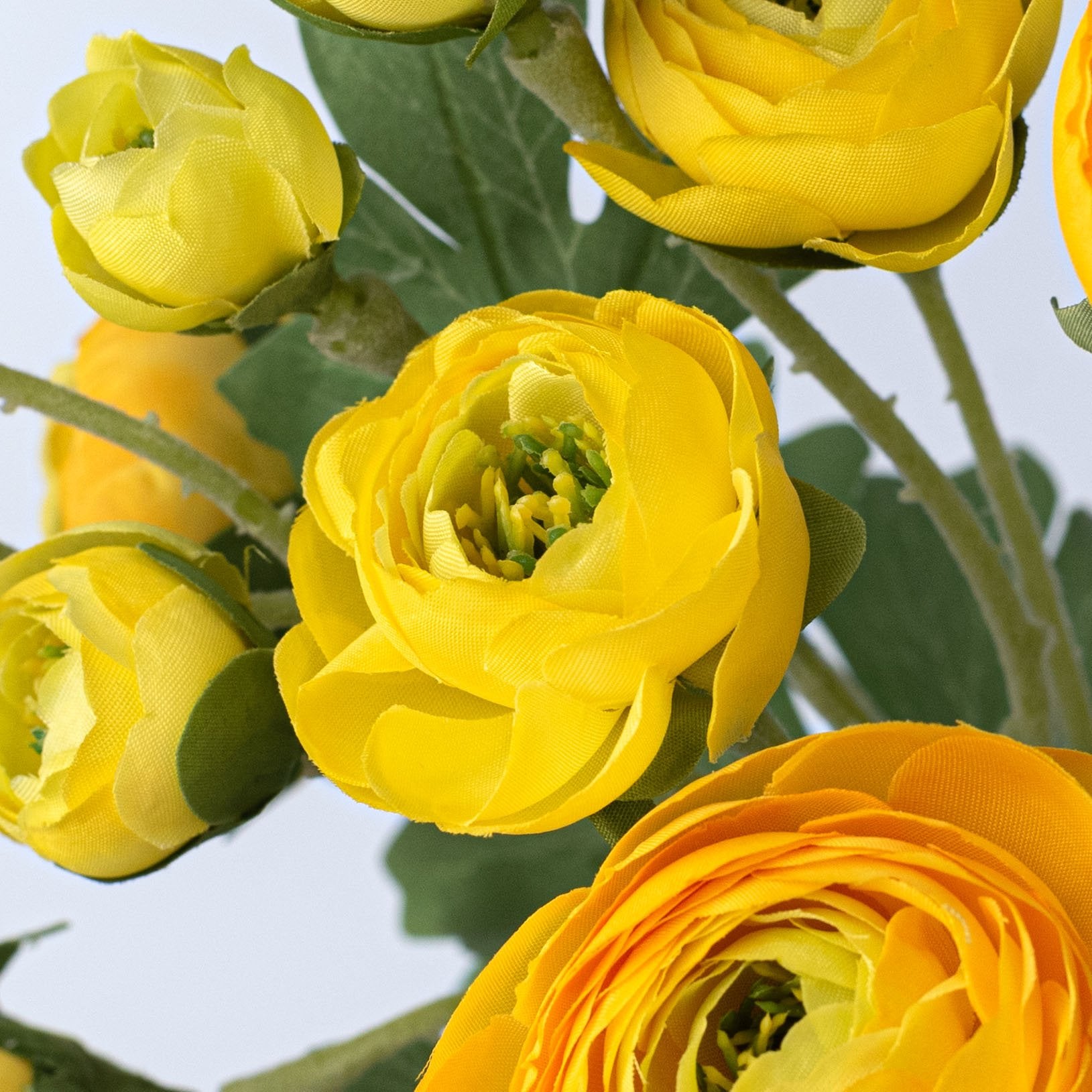 21" Ranunculus Spray: Yellow Lifestyle Photo