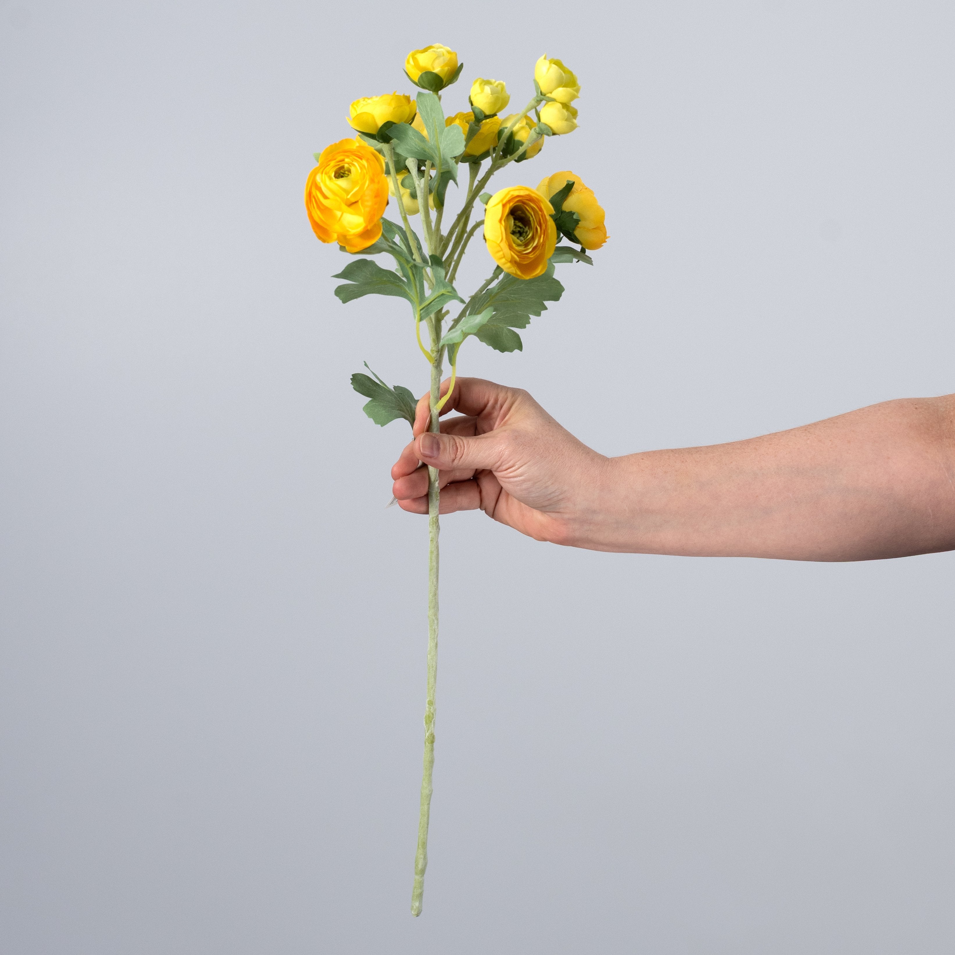 21" Ranunculus Spray: Yellow detail photo 3