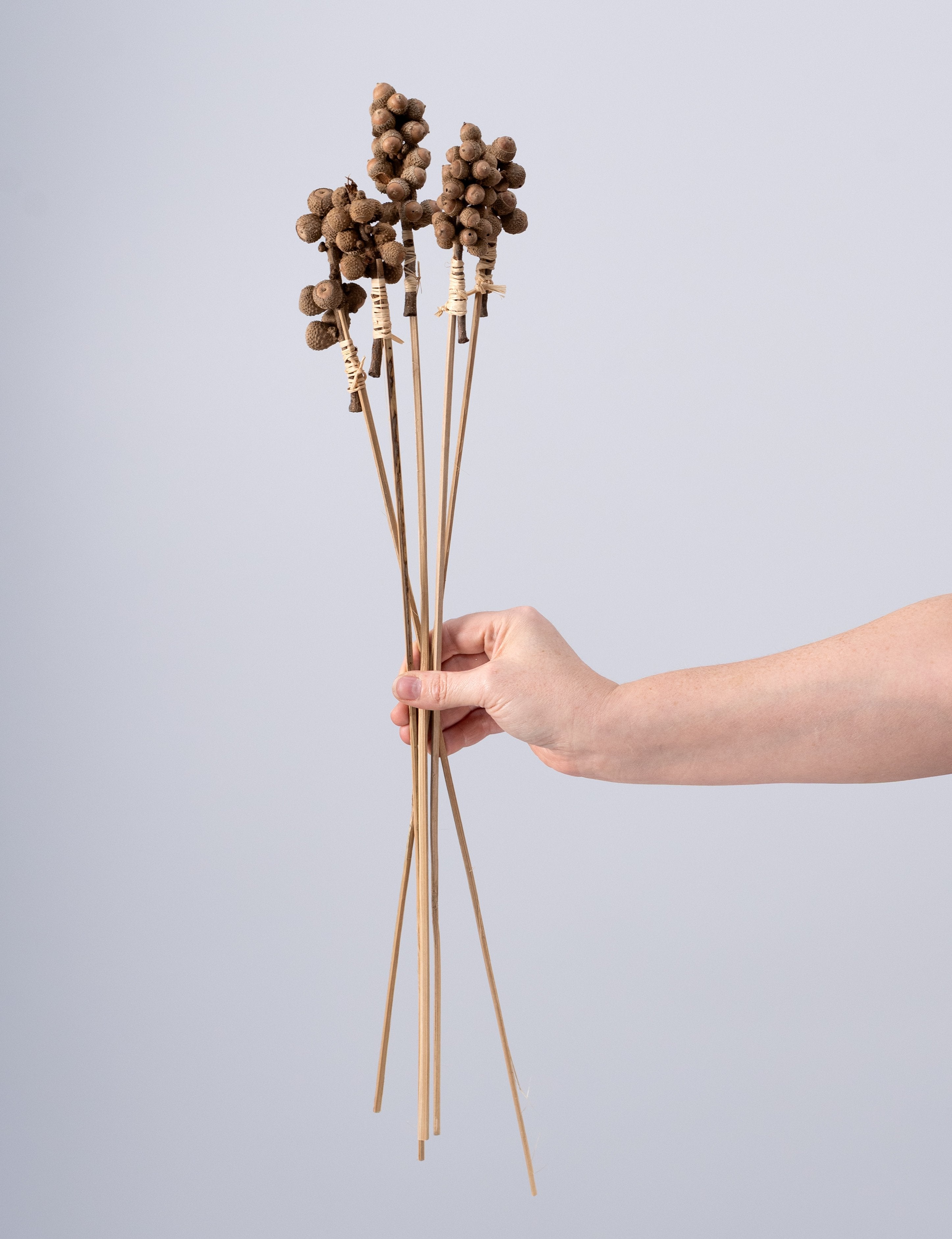 22" Acorns on Bamboo Picks: Natural (Pack of 5) detail photo 3
