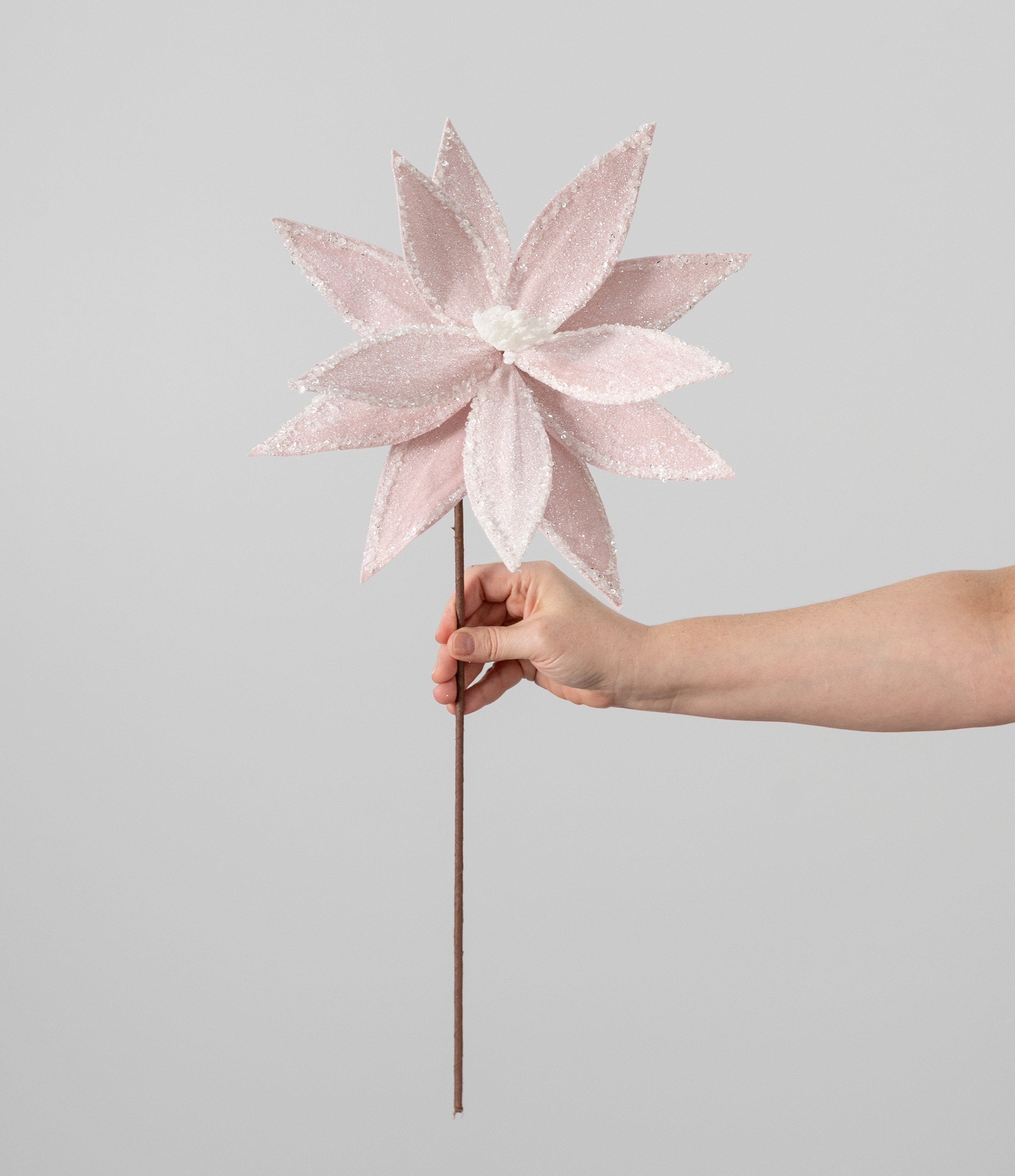 22" Frosted Iced Poinsettia Flower Stem: Pink detail photo 3