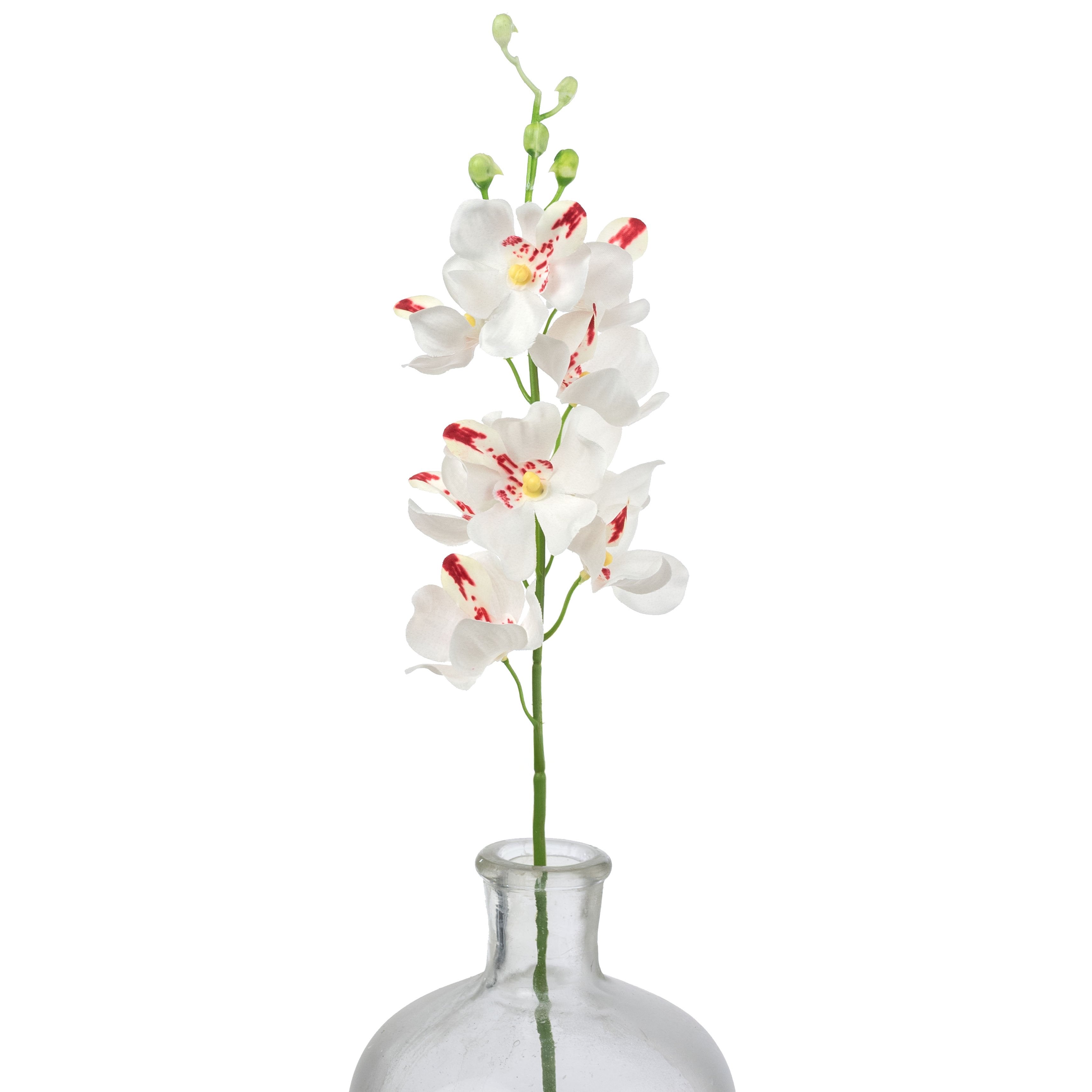 22-mokara-orchid-stem-cream-