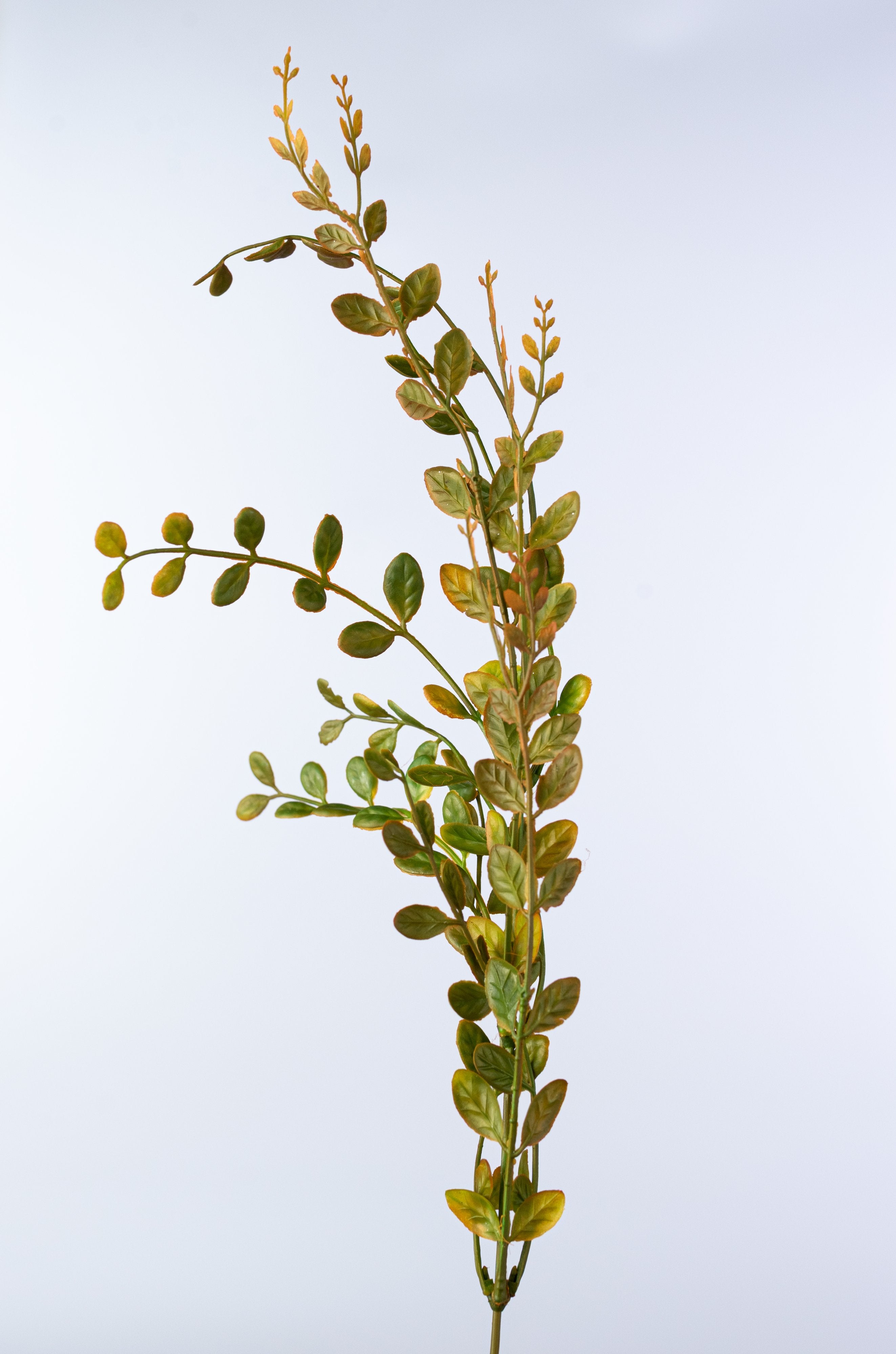 22" Plastic Boxwood Bush: Fall Mix detail photo 4
