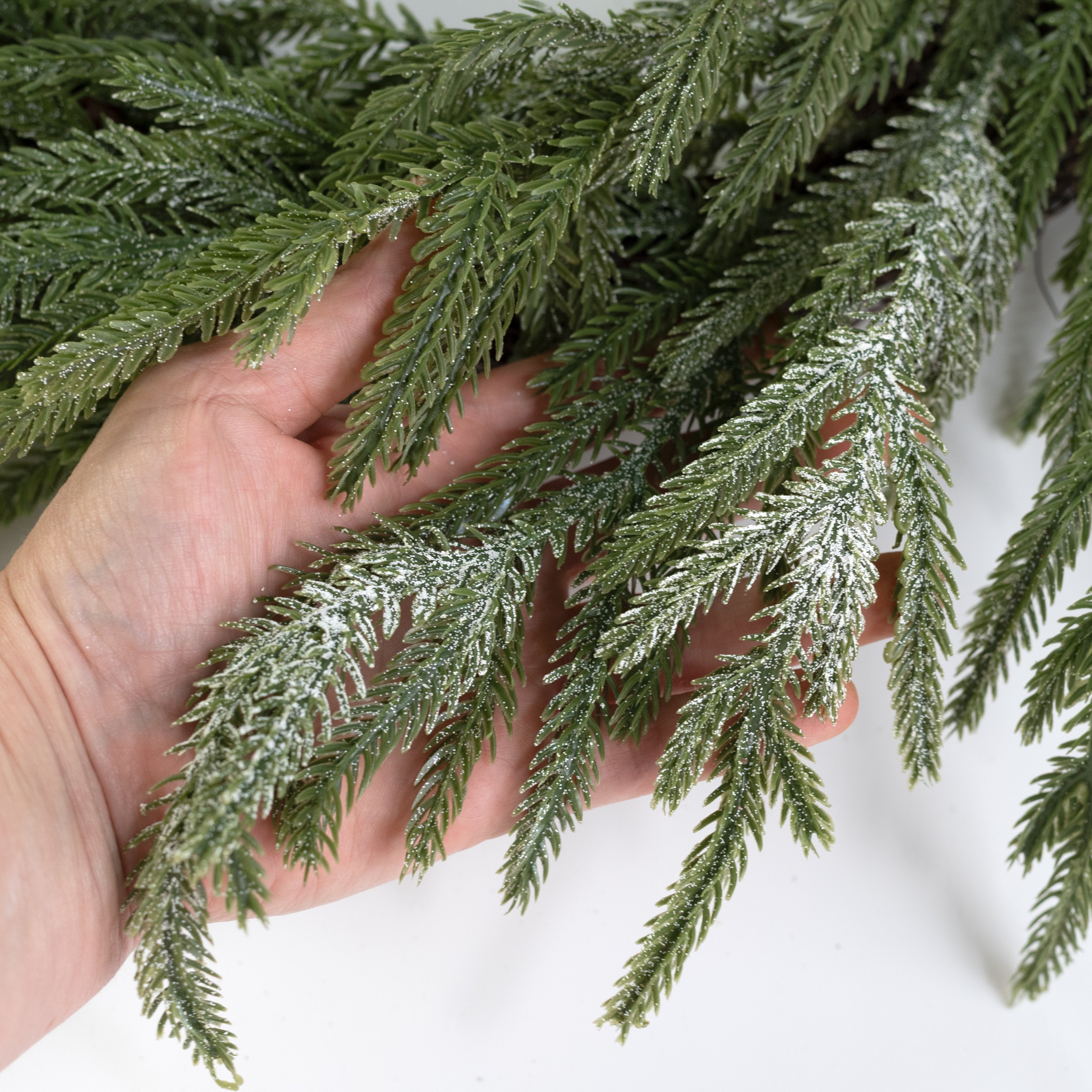 22" Soft Touch Glittered Frost Norfolk Pine Wreath detail photo 4