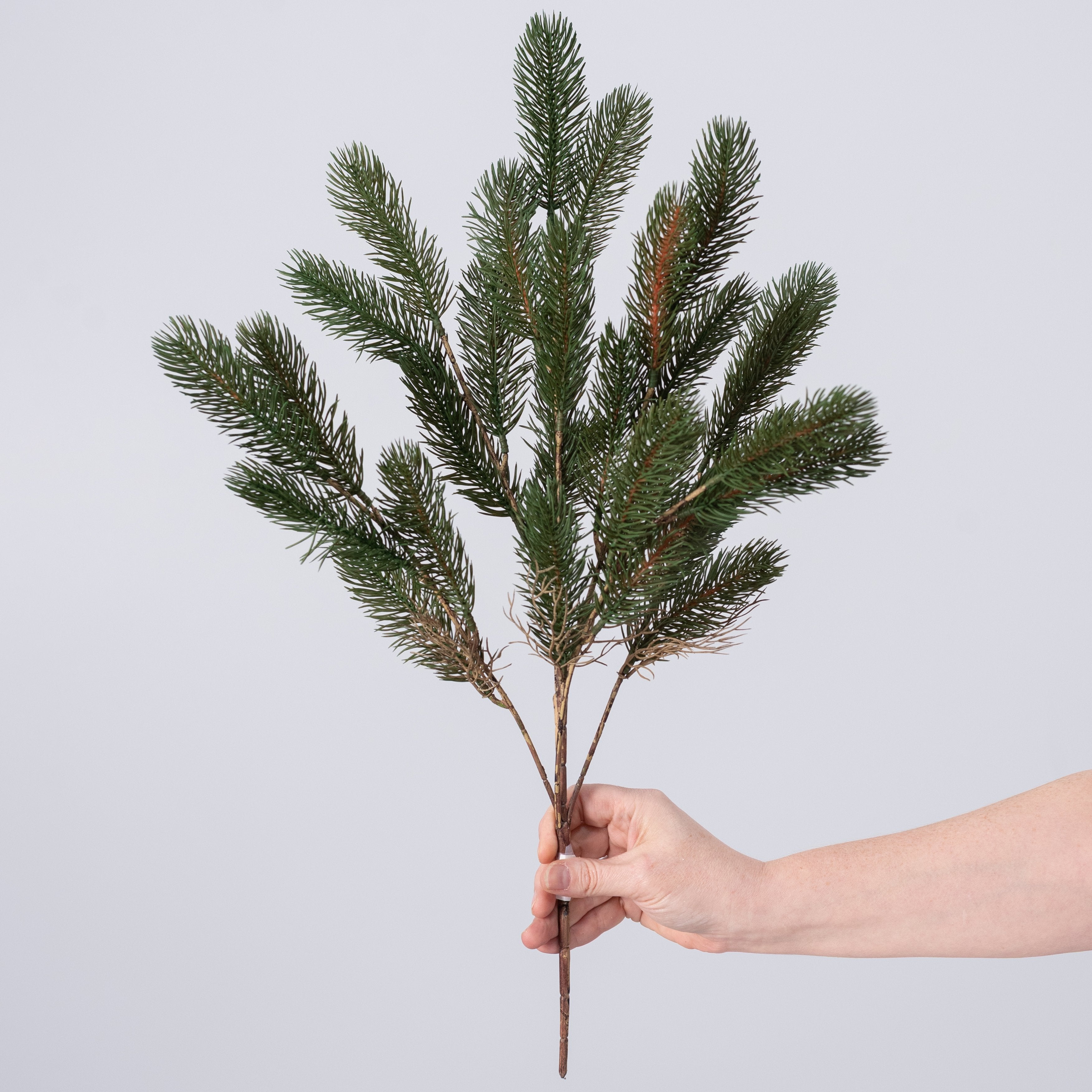 22" Soft Touch Noble Pine Bush: Evergreen detail photo 3