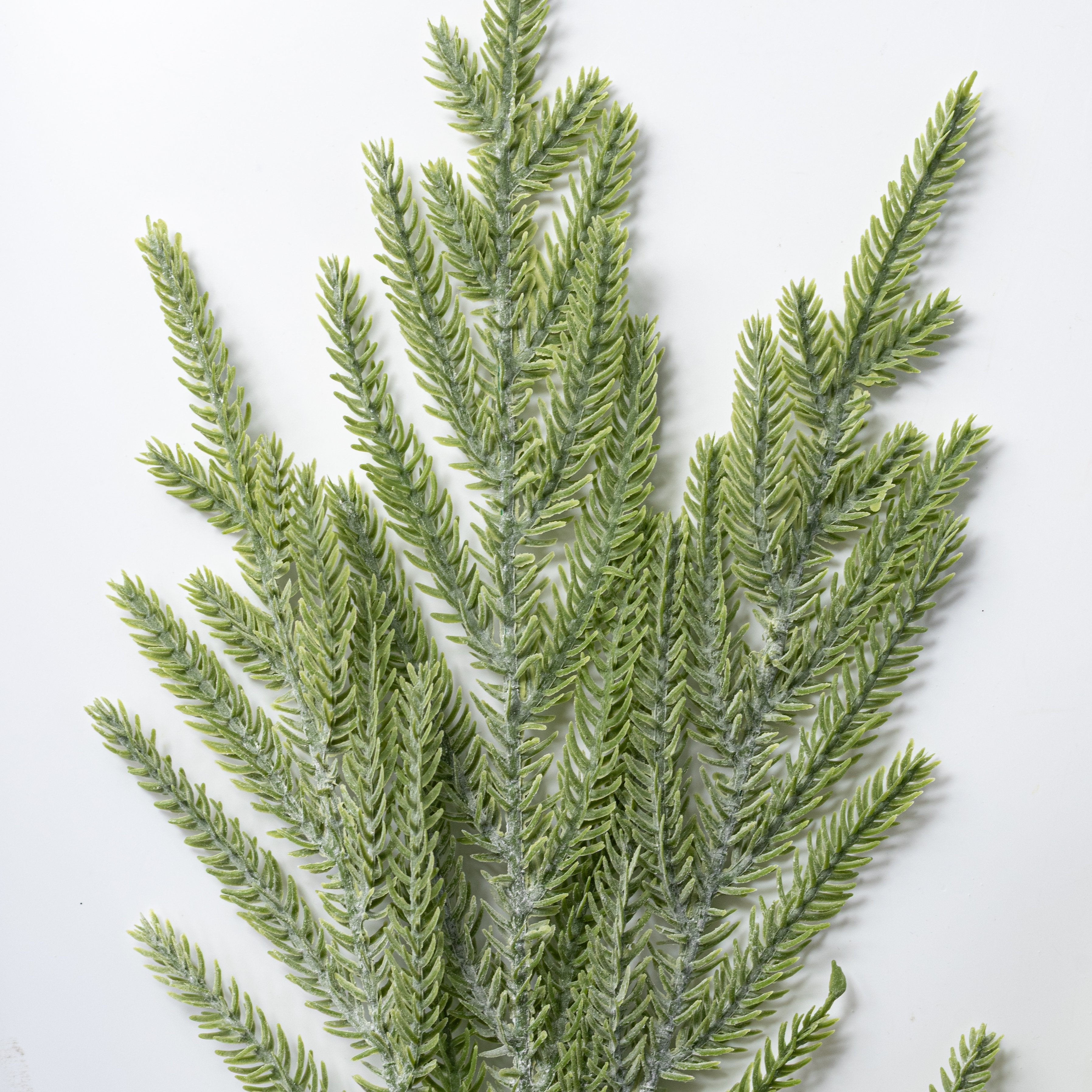 22" Soft Touch Norfolk Pine Bush Lifestyle Photo