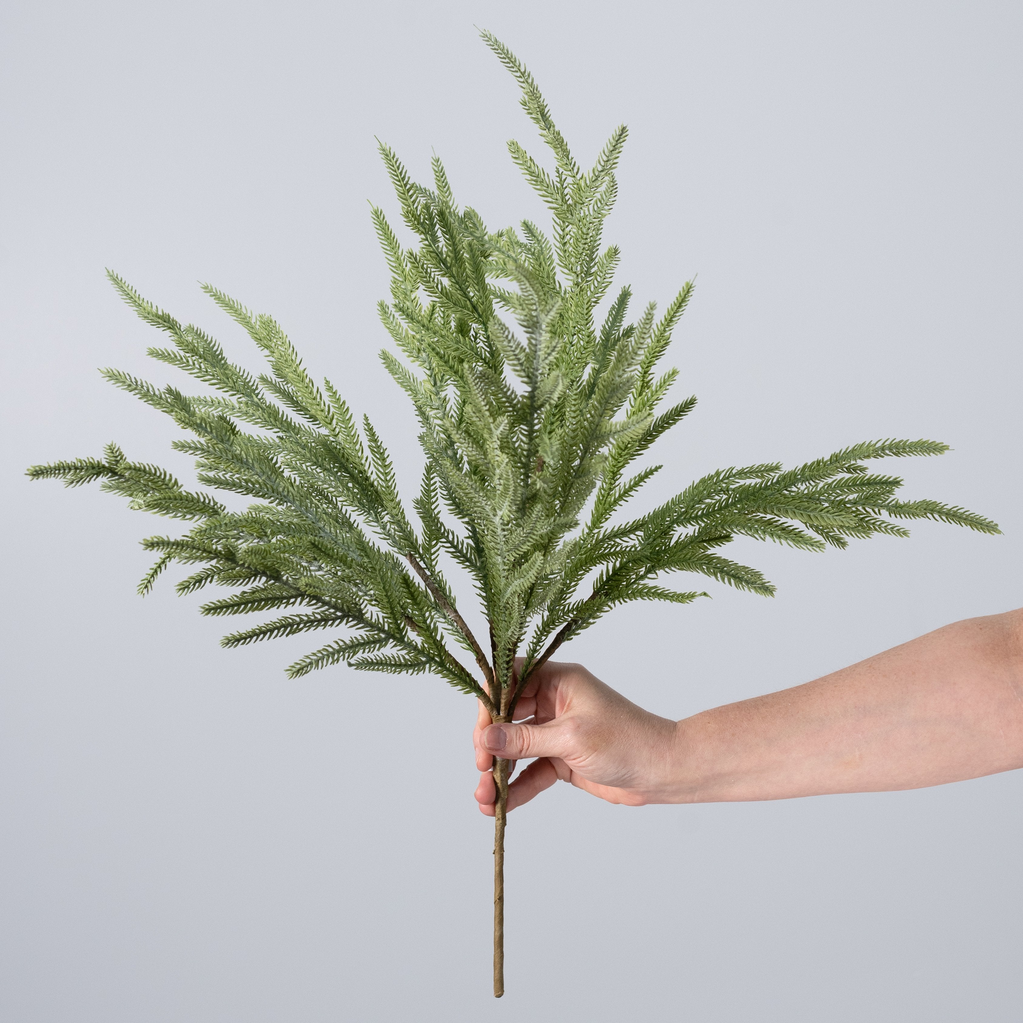 22" Soft Touch Norfolk Pine Bush detail photo 3