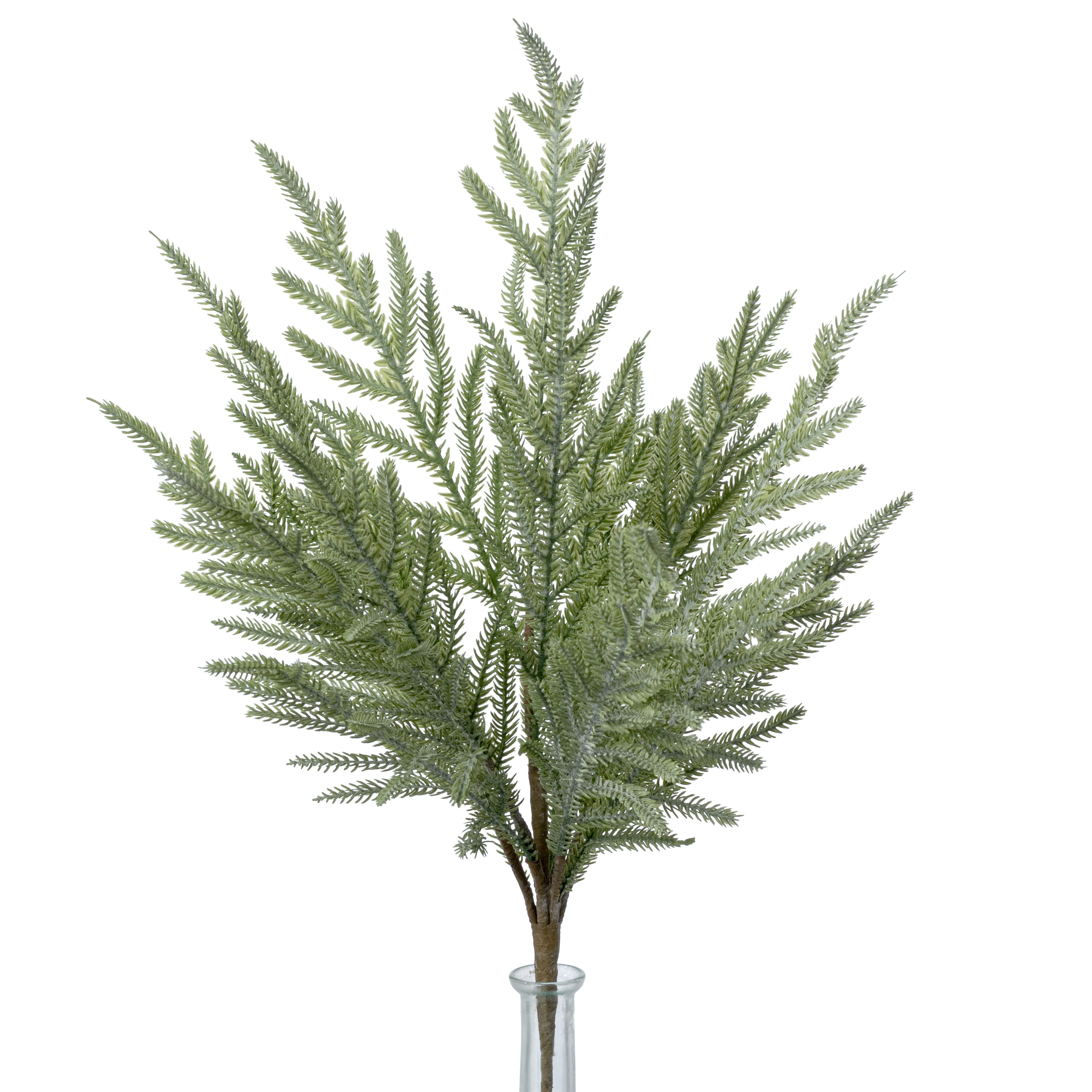 22" Soft Touch Norfolk Pine Bush Item Number: 65889