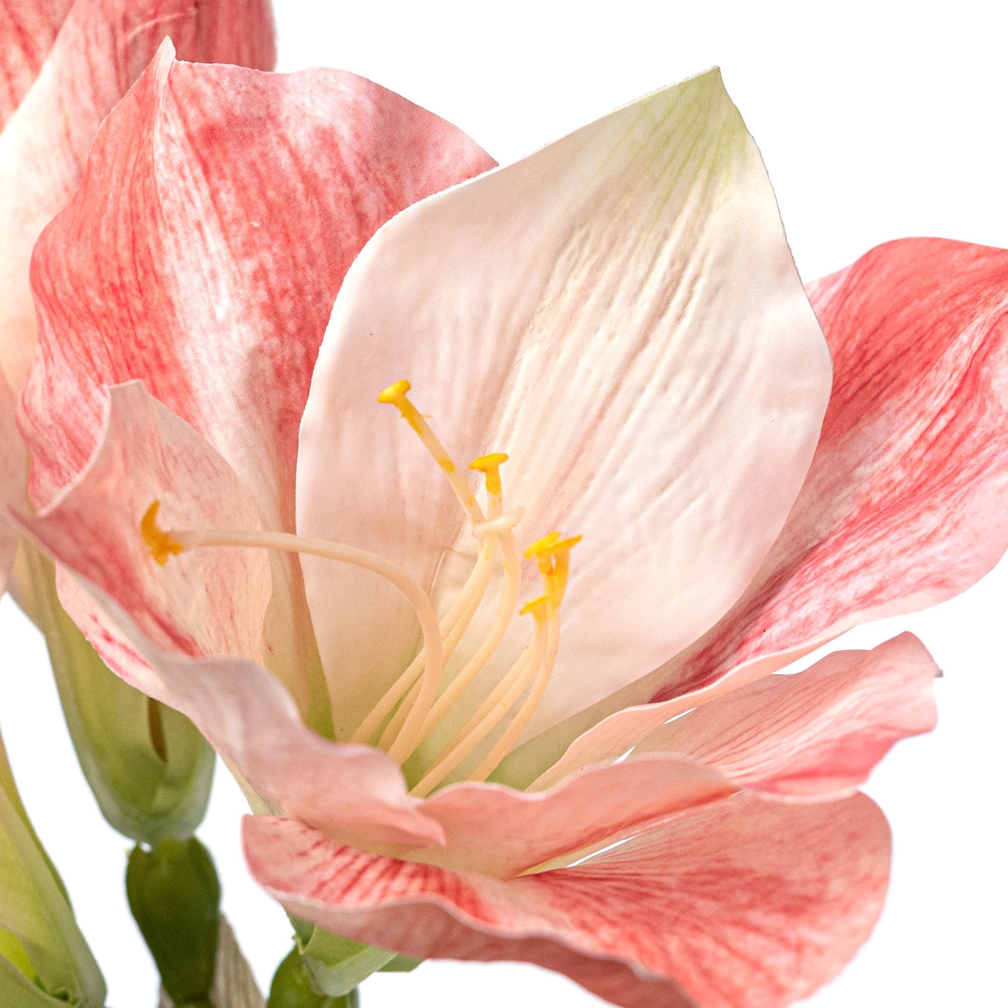 23" Artificial Amaryllis Stem: Pink & Cream Lifestyle Photo