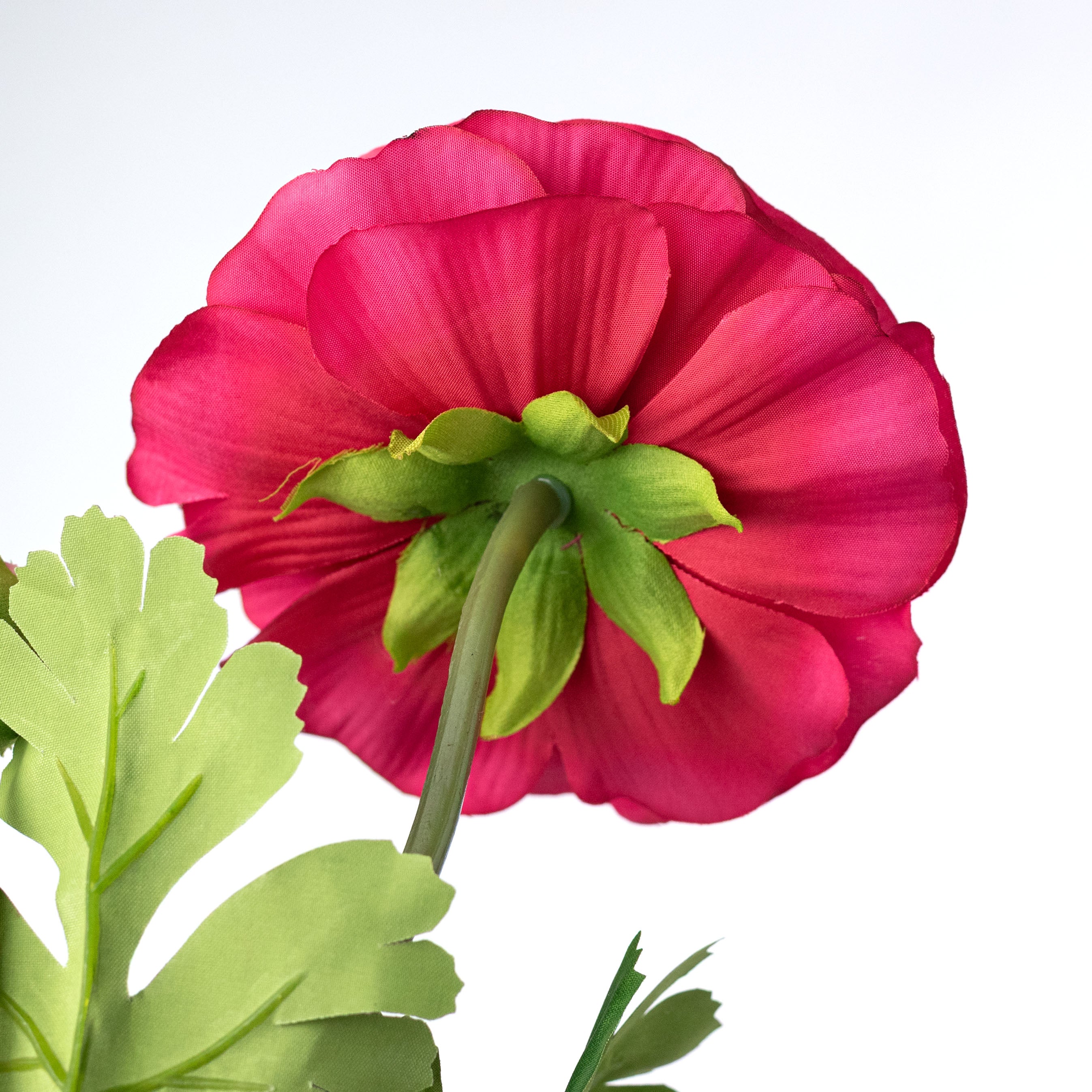 23" Ranunculus & Bud Spray: Fuchsia Pink detail photo 5