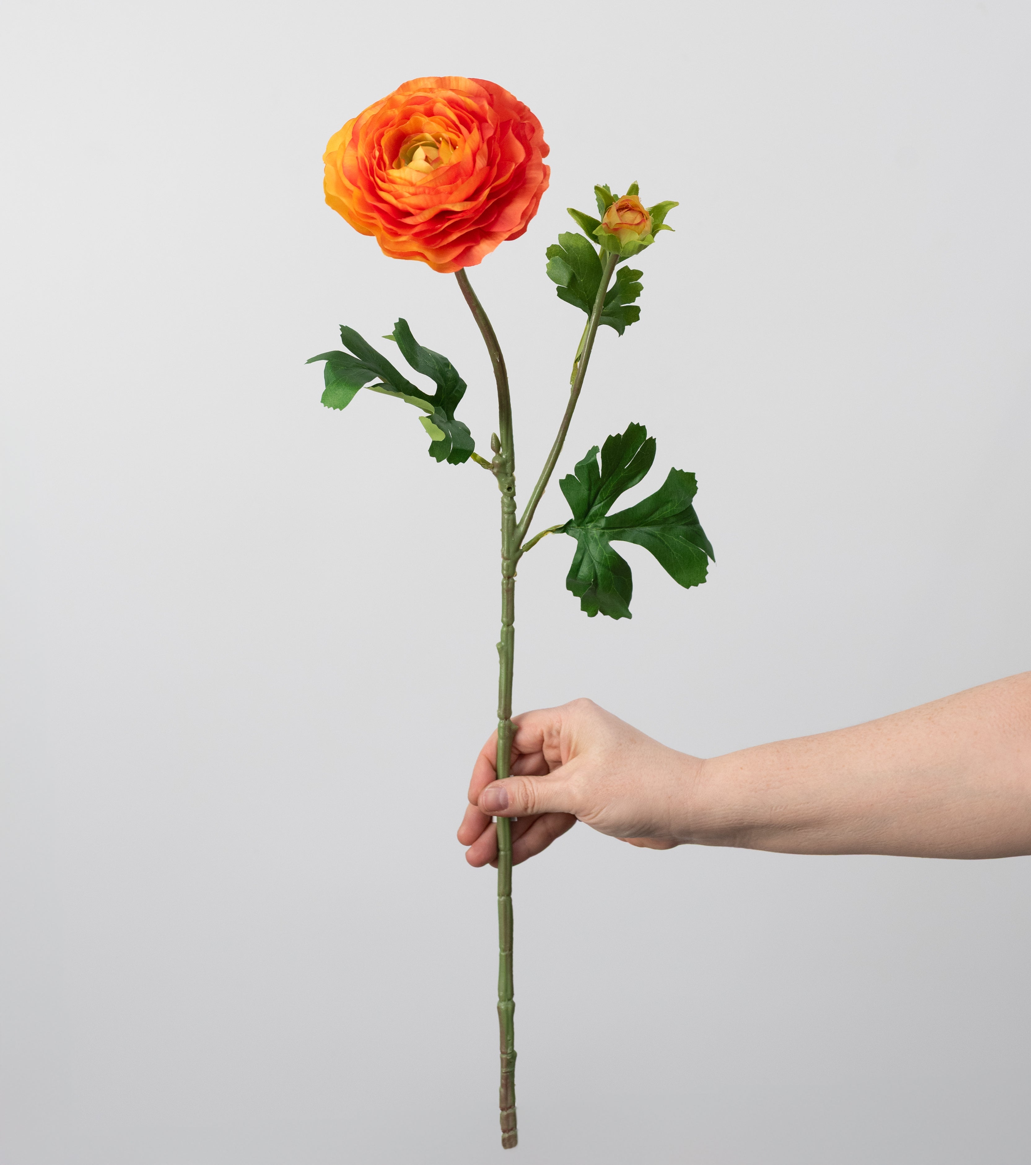 23" Ranunculus & Bud Spray: Orange detail photo 3