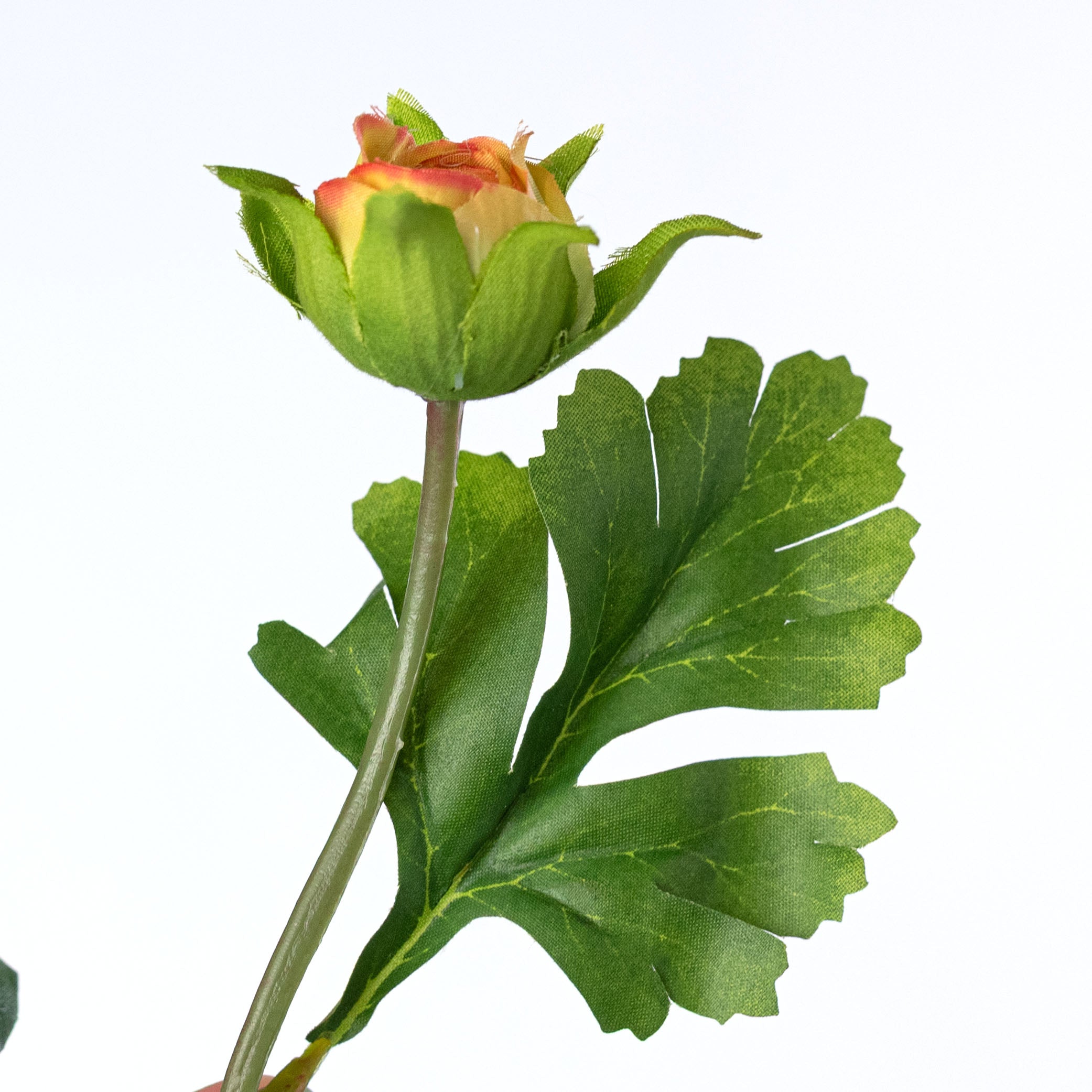 23" Ranunculus & Bud Spray: Orange detail photo 4