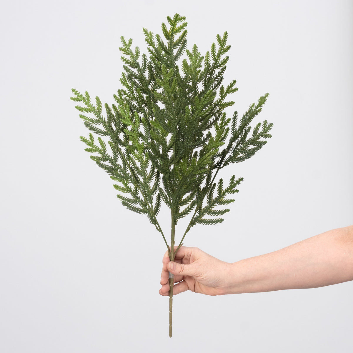 23" Soft Touch Norfolk Pine Spray: Two Tone Dark Green detail photo 3
