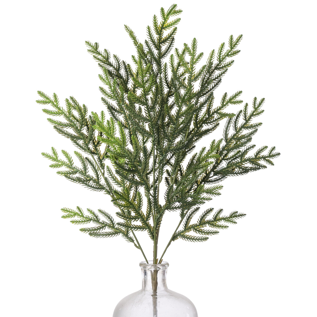 23" Soft Touch Norfolk Pine Spray: Two Tone Dark Green Item Number: XV770941