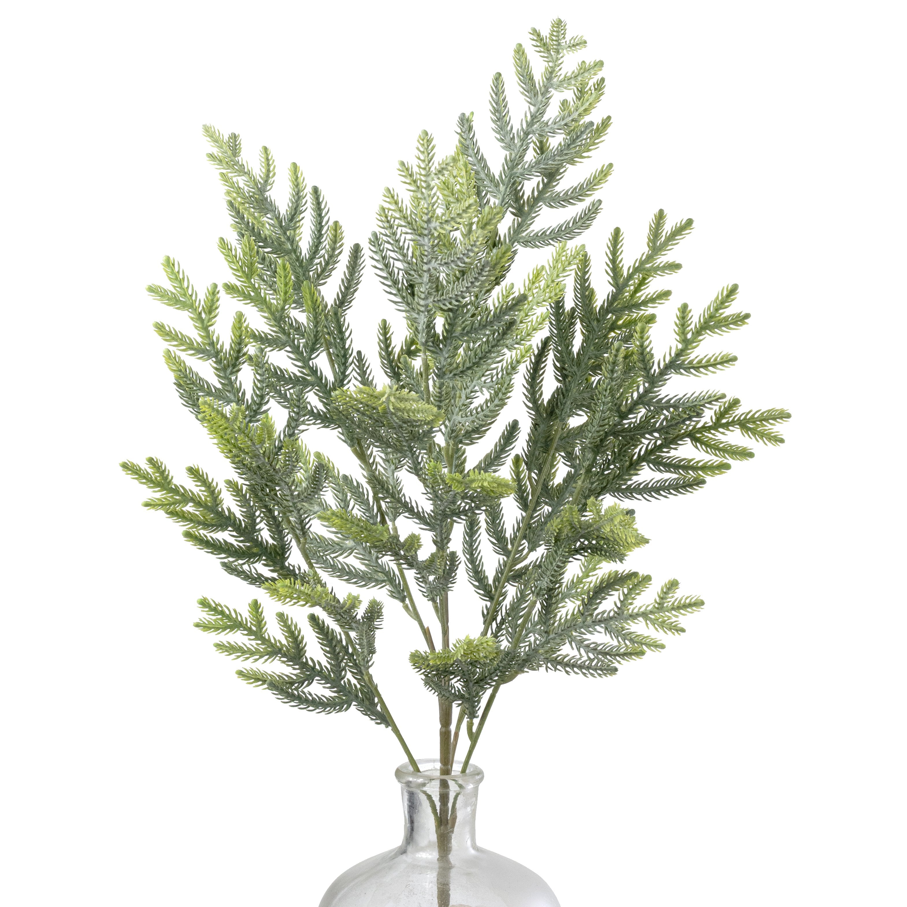23" Soft Touch Norfolk Pine Spray: Two Tone Light Green Item Number: XV770932