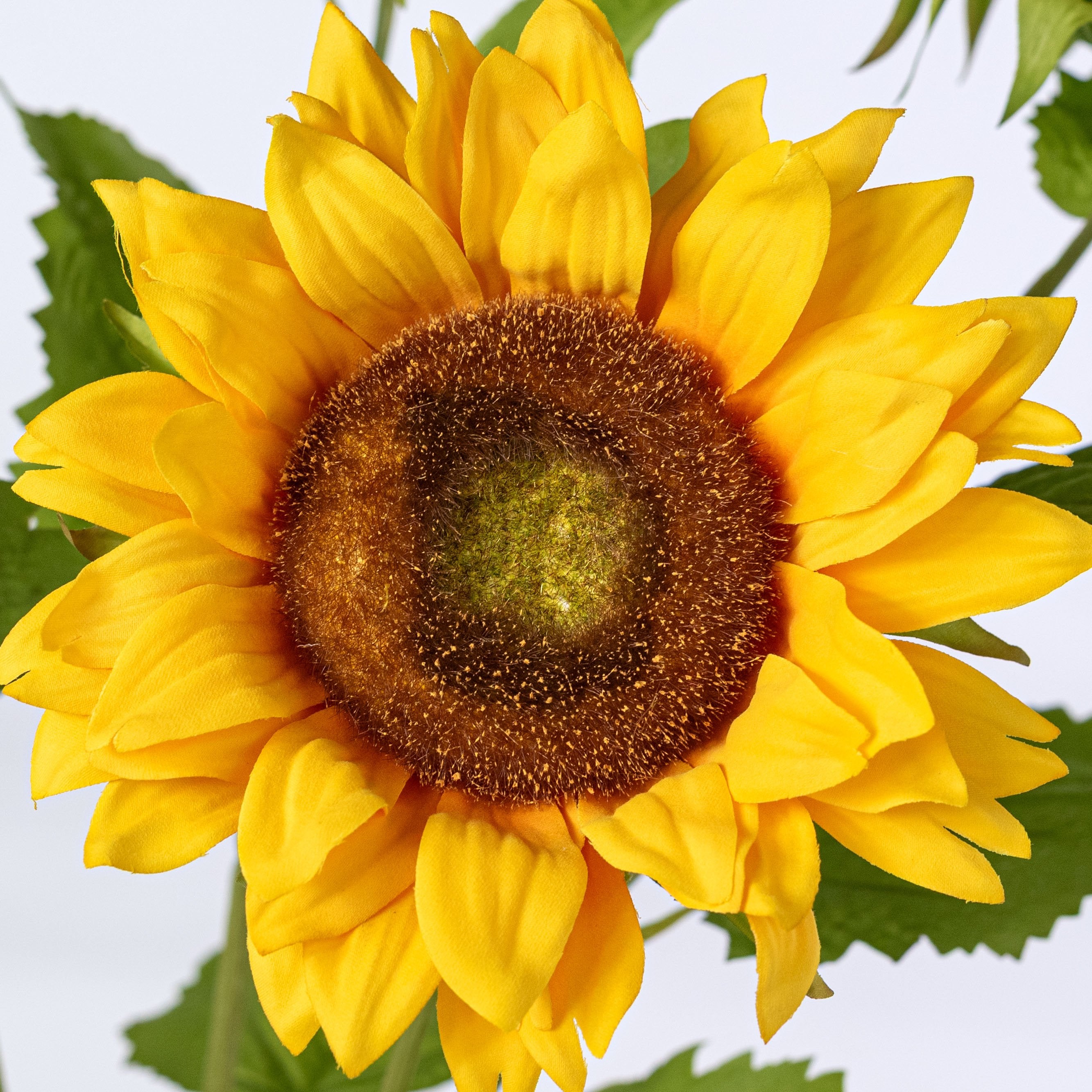 23" Sunflower Bush: Golden Yellow (5 Stem) Lifestyle Photo