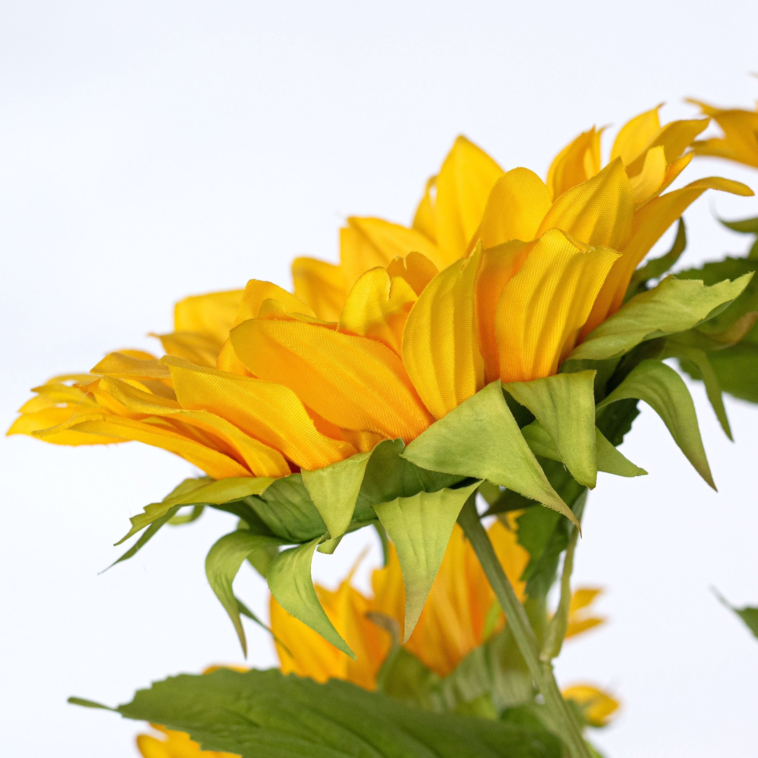23" Sunflower Bush: Golden Yellow (5 Stem) detail photo 4