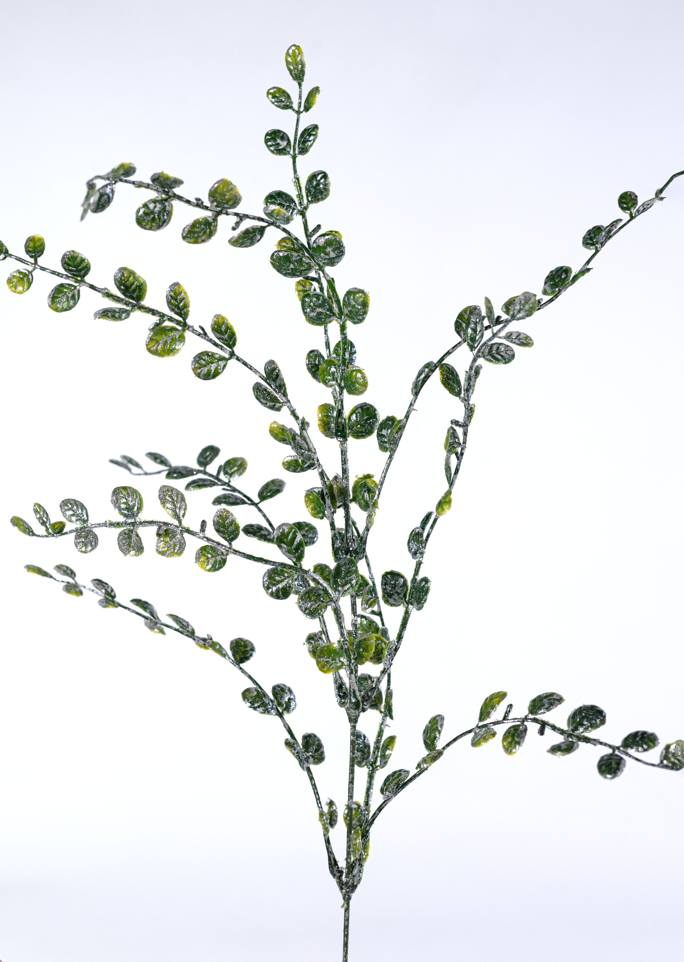 24" Flat Boxwood Box: Glitter Iced Green detail photo 4