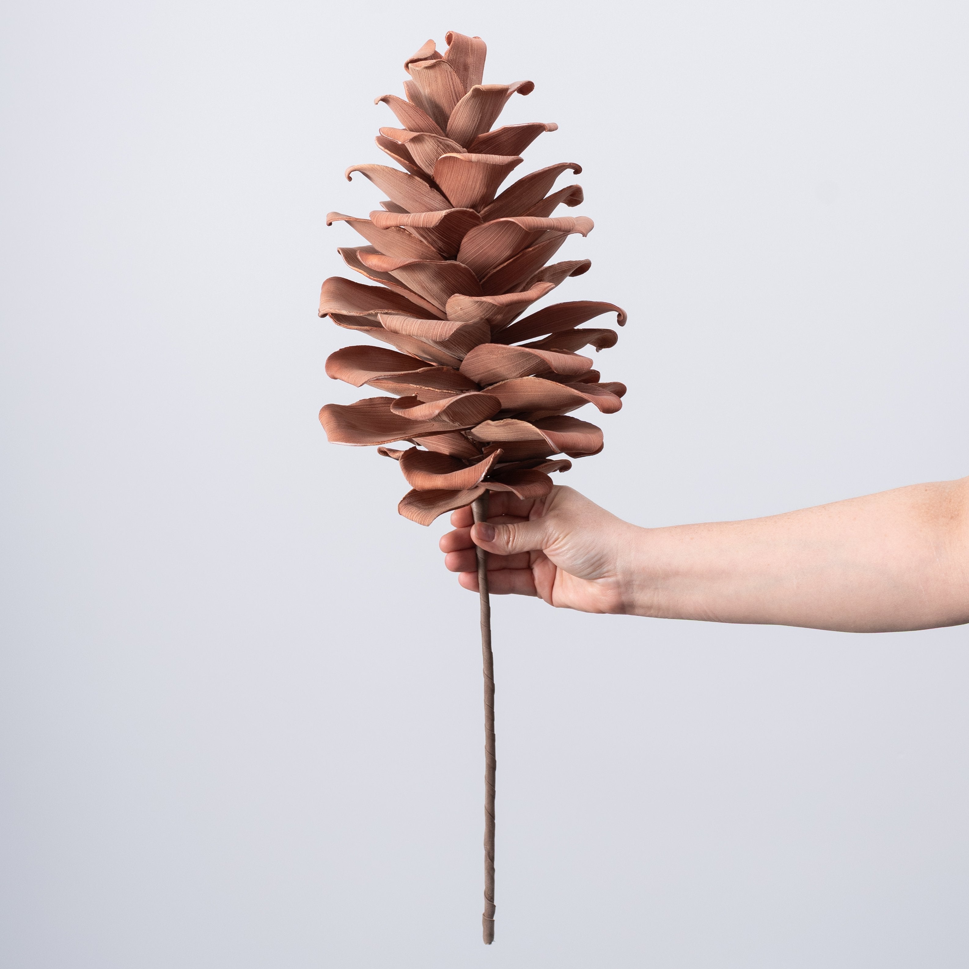 24" Jumbo Foam Pinecone Pick: Mocha Brown detail photo 3