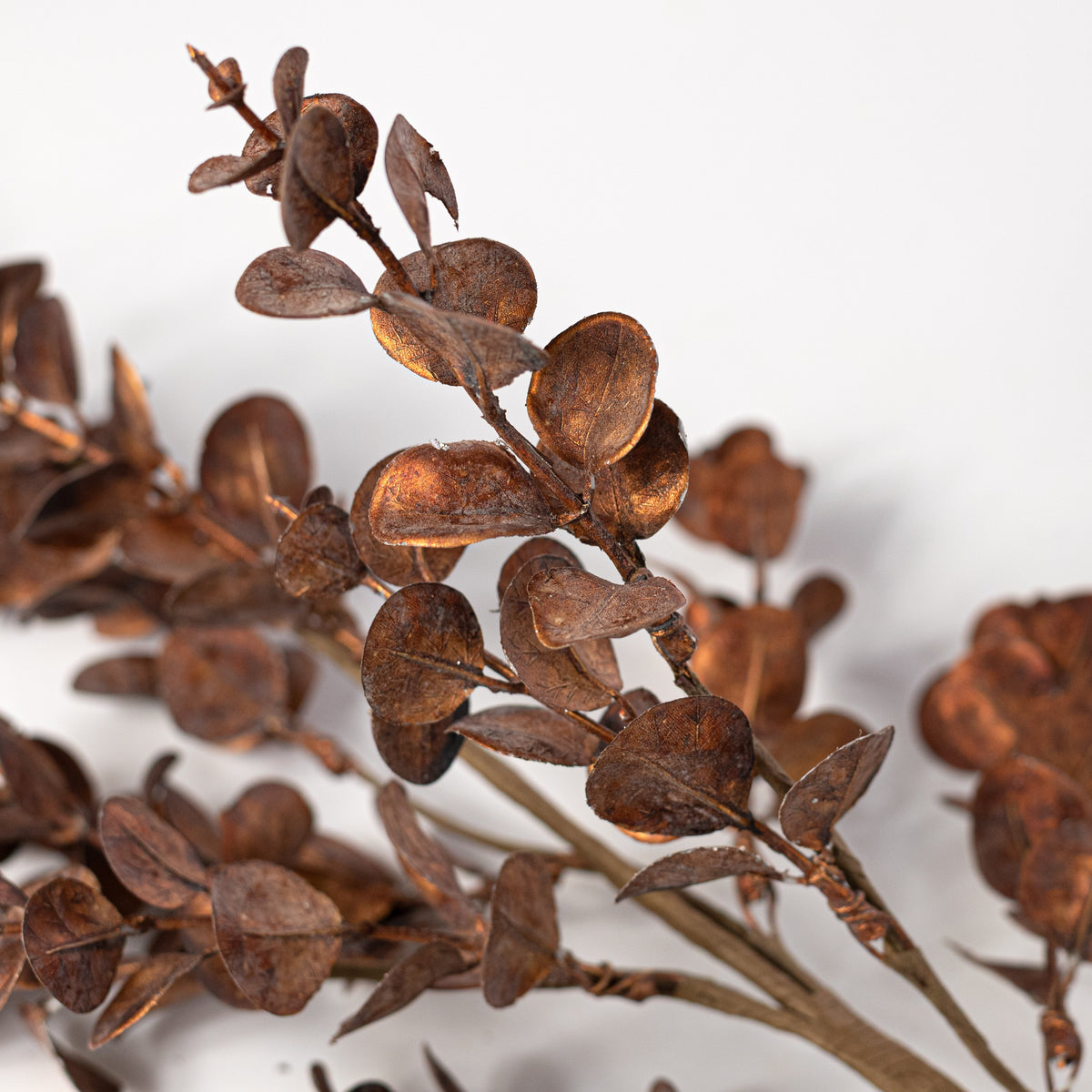24" Metallic Mini Eucalyptus Leaf Spray: Copper Brown Lifestyle Photo