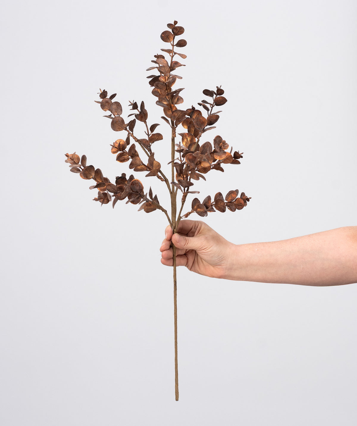 24" Metallic Mini Eucalyptus Leaf Spray: Copper Brown detail photo 3