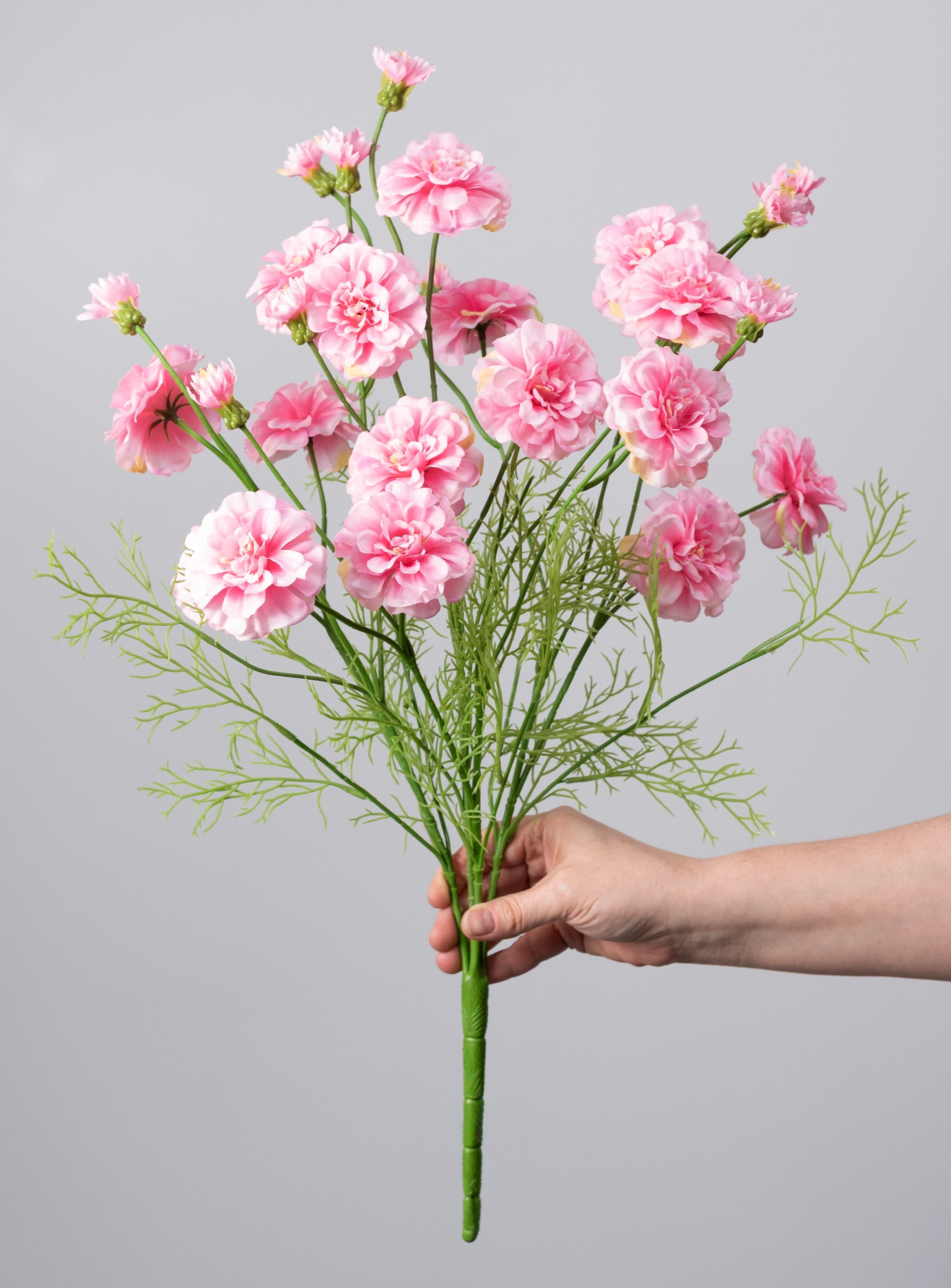 24" Mini Zinnia Bush: Pink (4 Stem) detail photo 3
