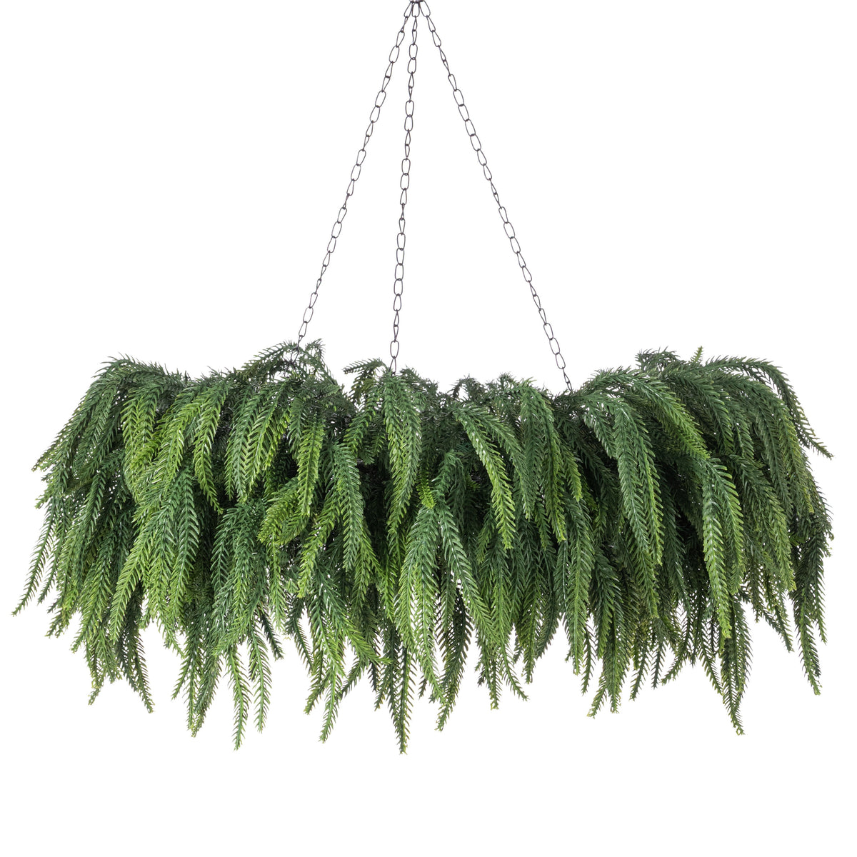 24" Norfolk Pine Hanging Wreath: Evergreen (114 Tips) Item Number: 87023HW24