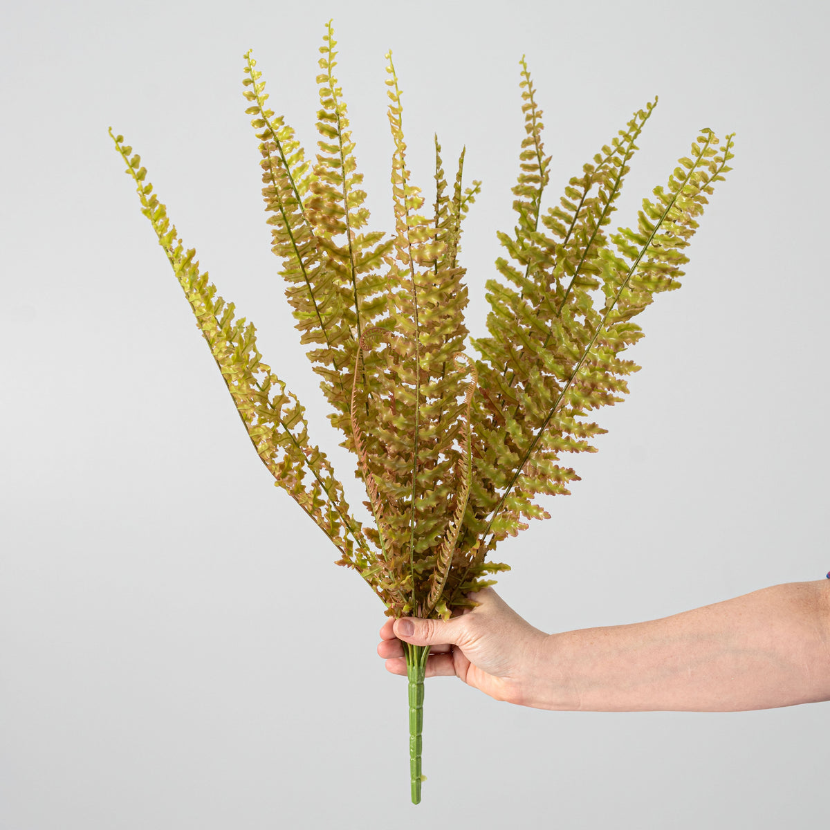 24" Plastic Boston Fern Bush: Green & Brown detail photo 3