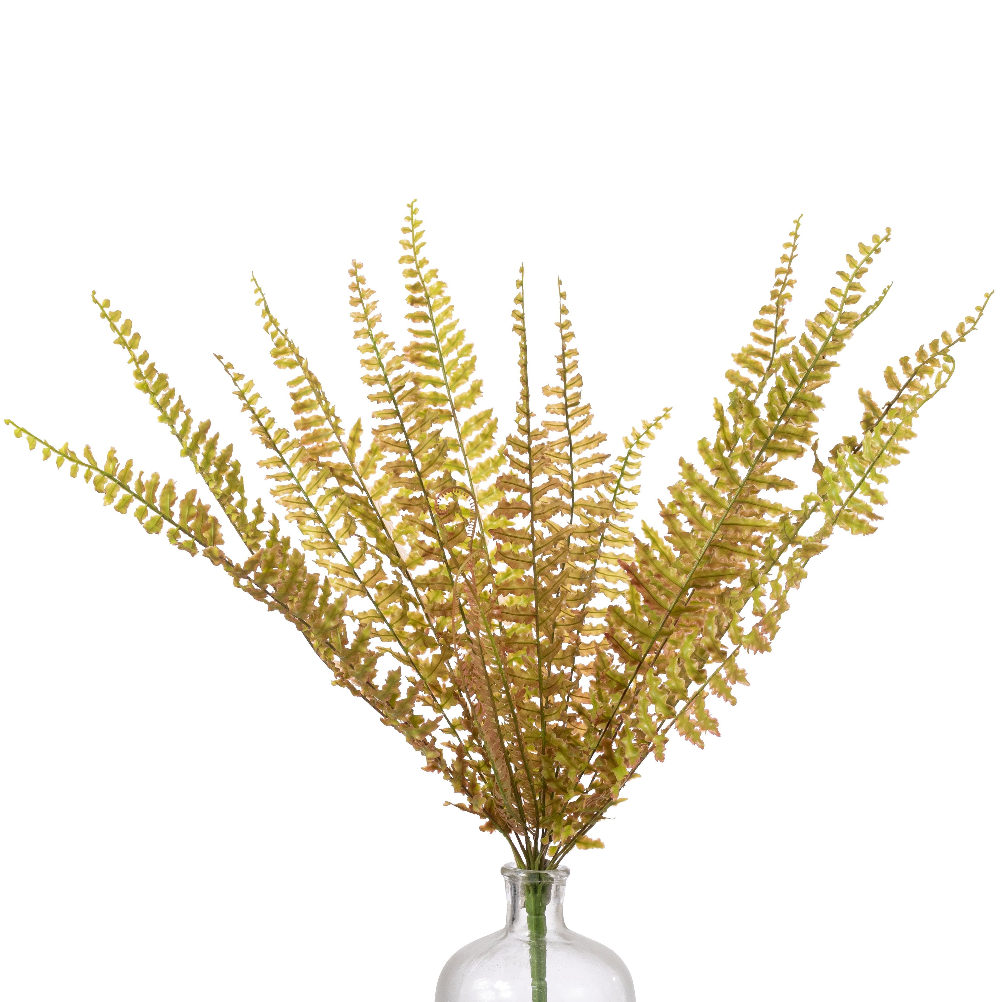 24" Plastic Boston Fern Bush: Green & Brown Item Number: FG691939