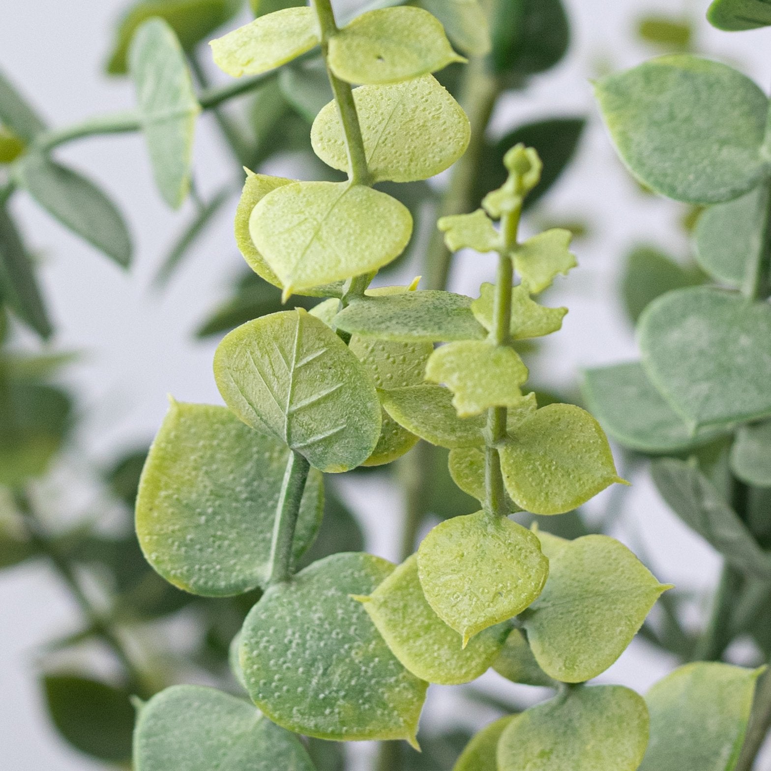 24" Plastic Eucalyptus Bush: Light Two-Tone Green detail photo 5