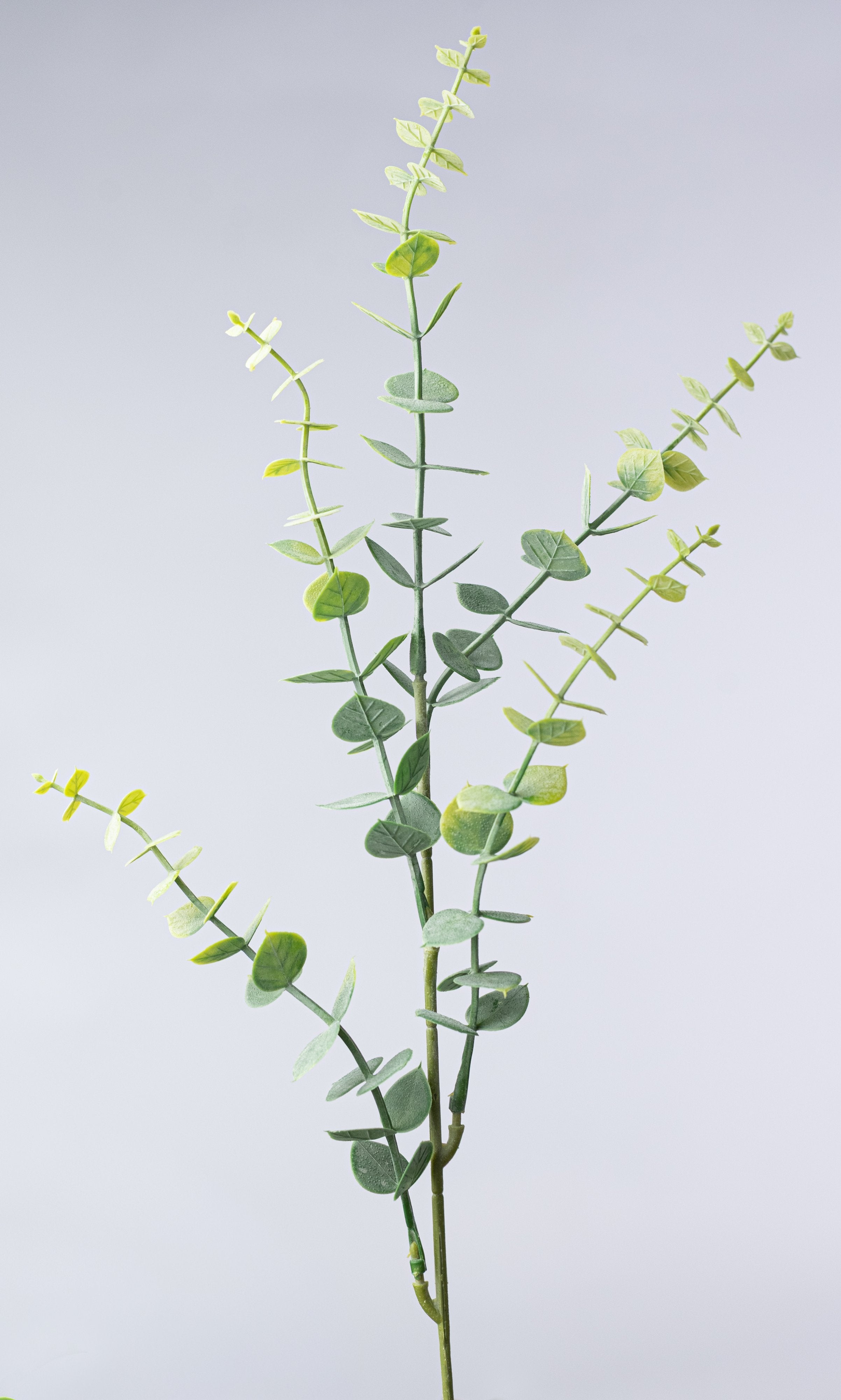 24" Plastic Eucalyptus Bush: Light Two-Tone Green detail photo 6