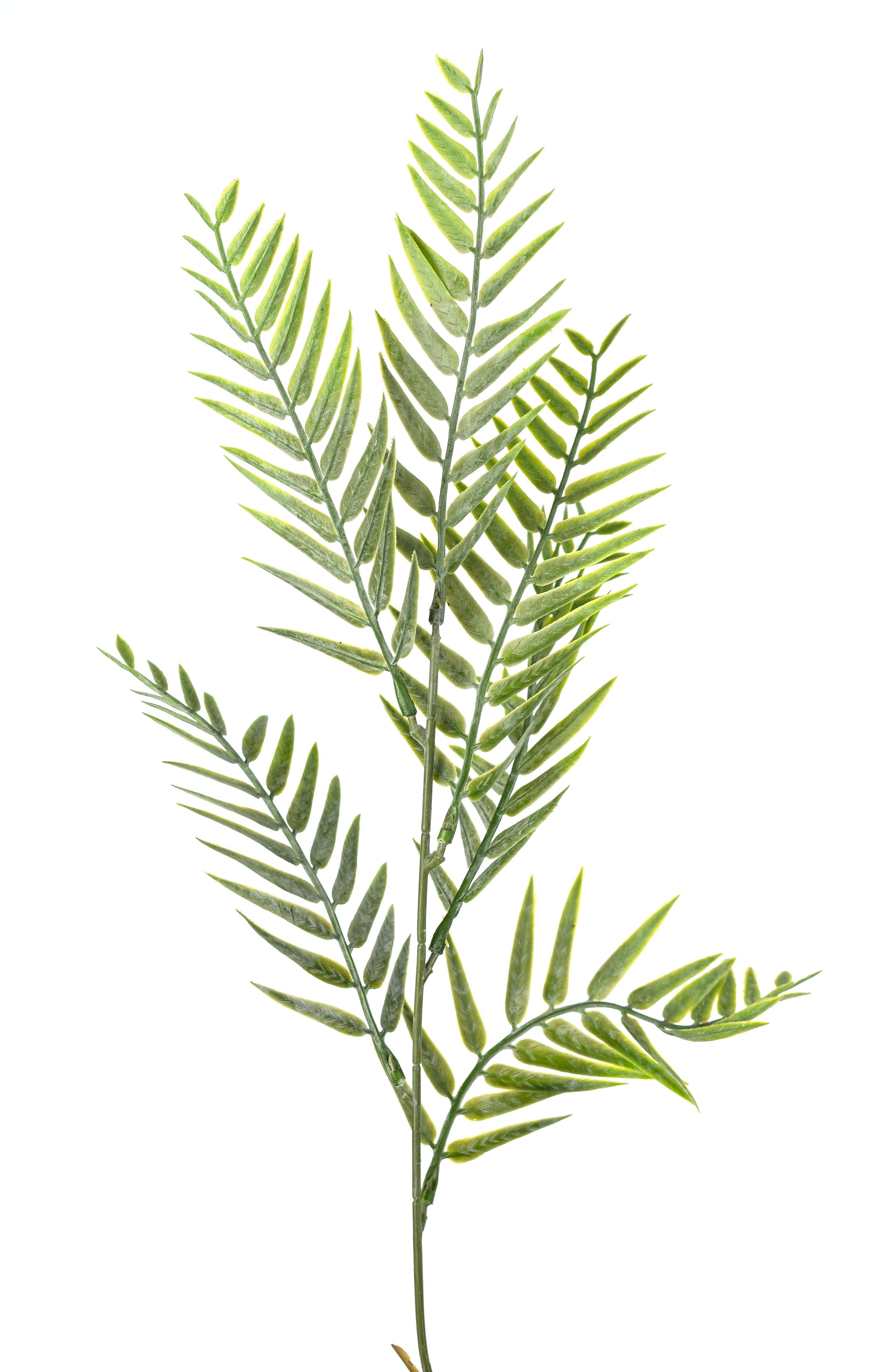 24" Plastic Fern Bush: Two Tone Light Green detail photo 4