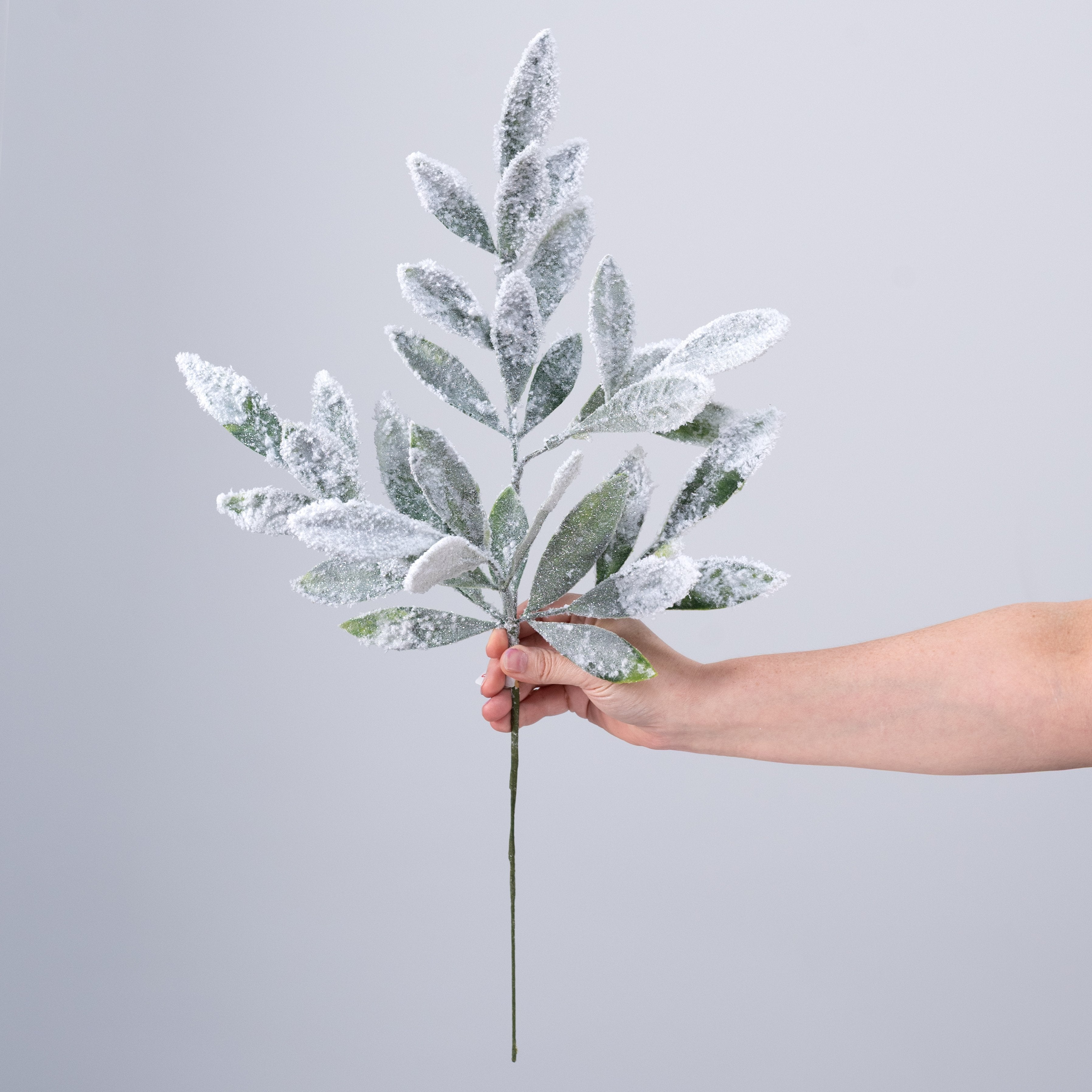 24" Snow Covered Bay Leaf Spray detail photo 3