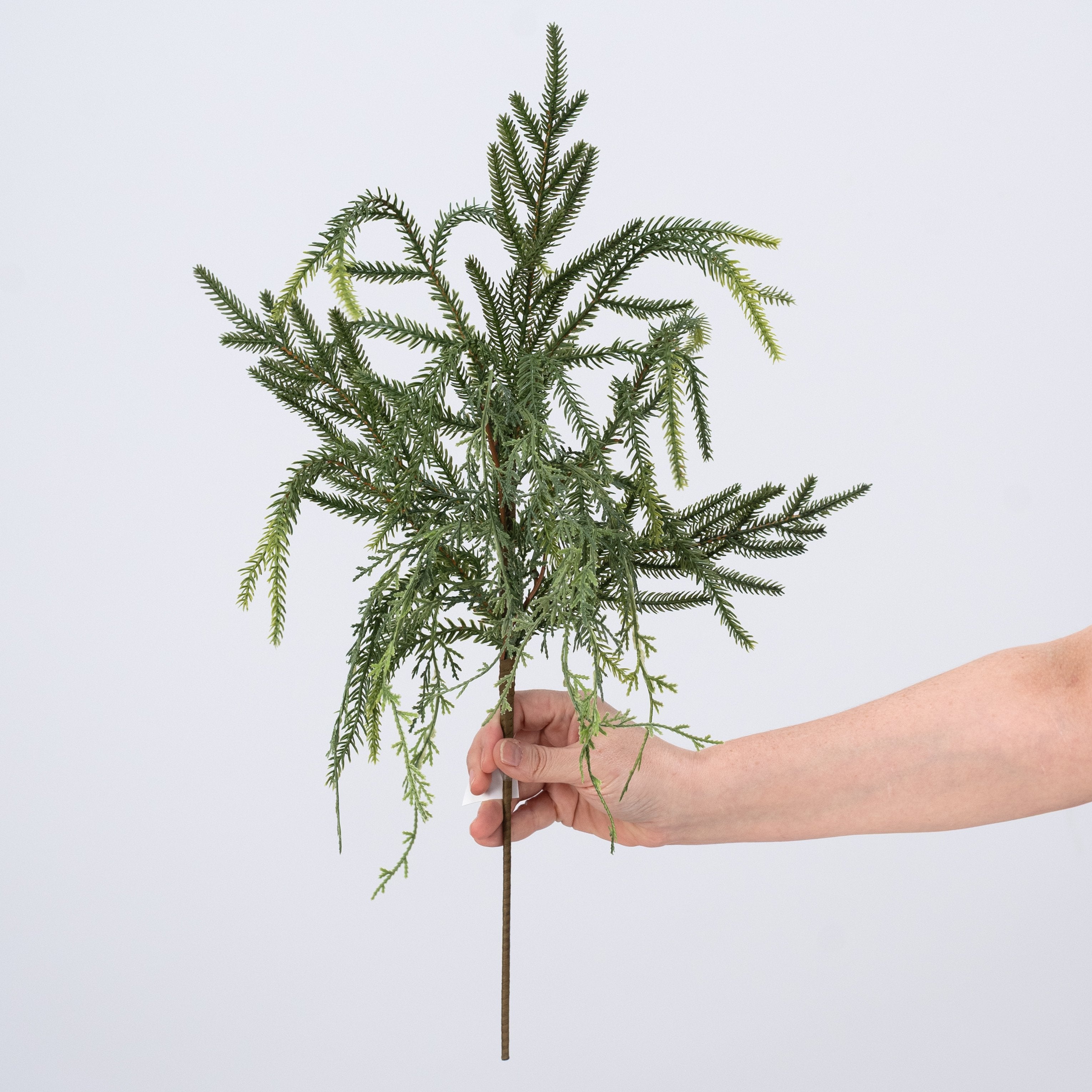 24" Soft Touch Cypress with Norfolk Pine Spray detail photo 3