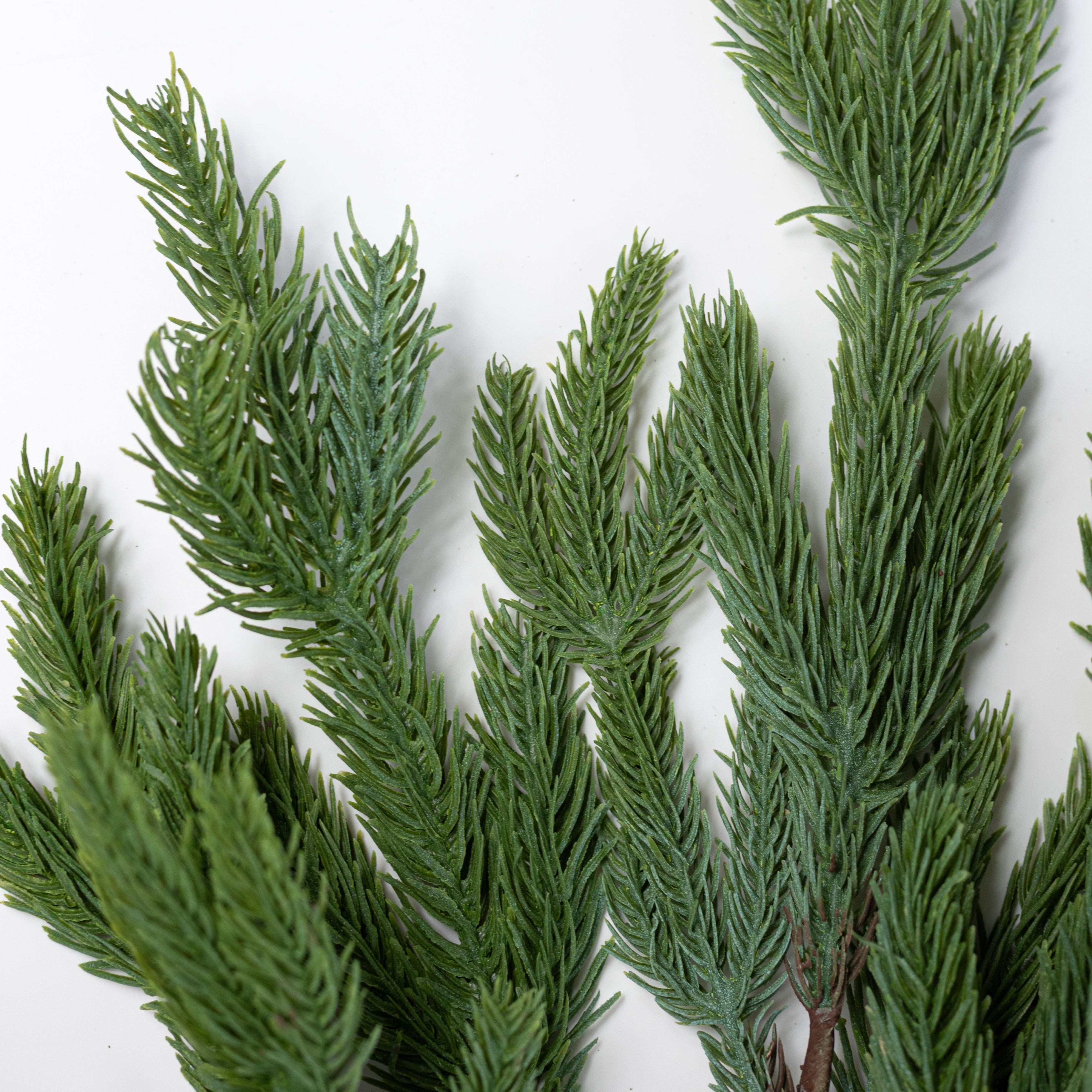 24" Soft Touch Pine Spray: Evergreen Lifestyle Photo