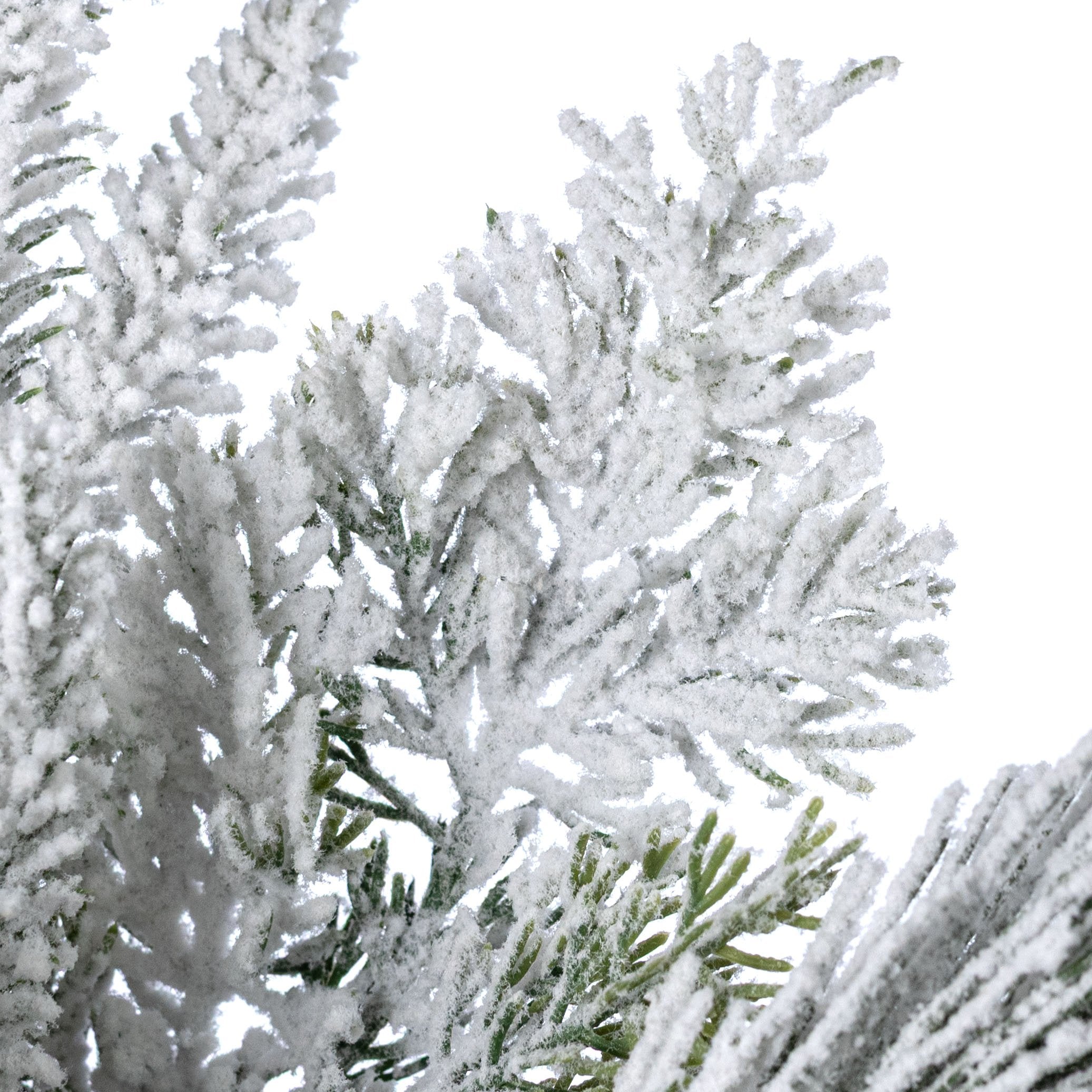 24" Swiss Pine Spray: Flocked Evergreen (9 Tips) Lifestyle Photo