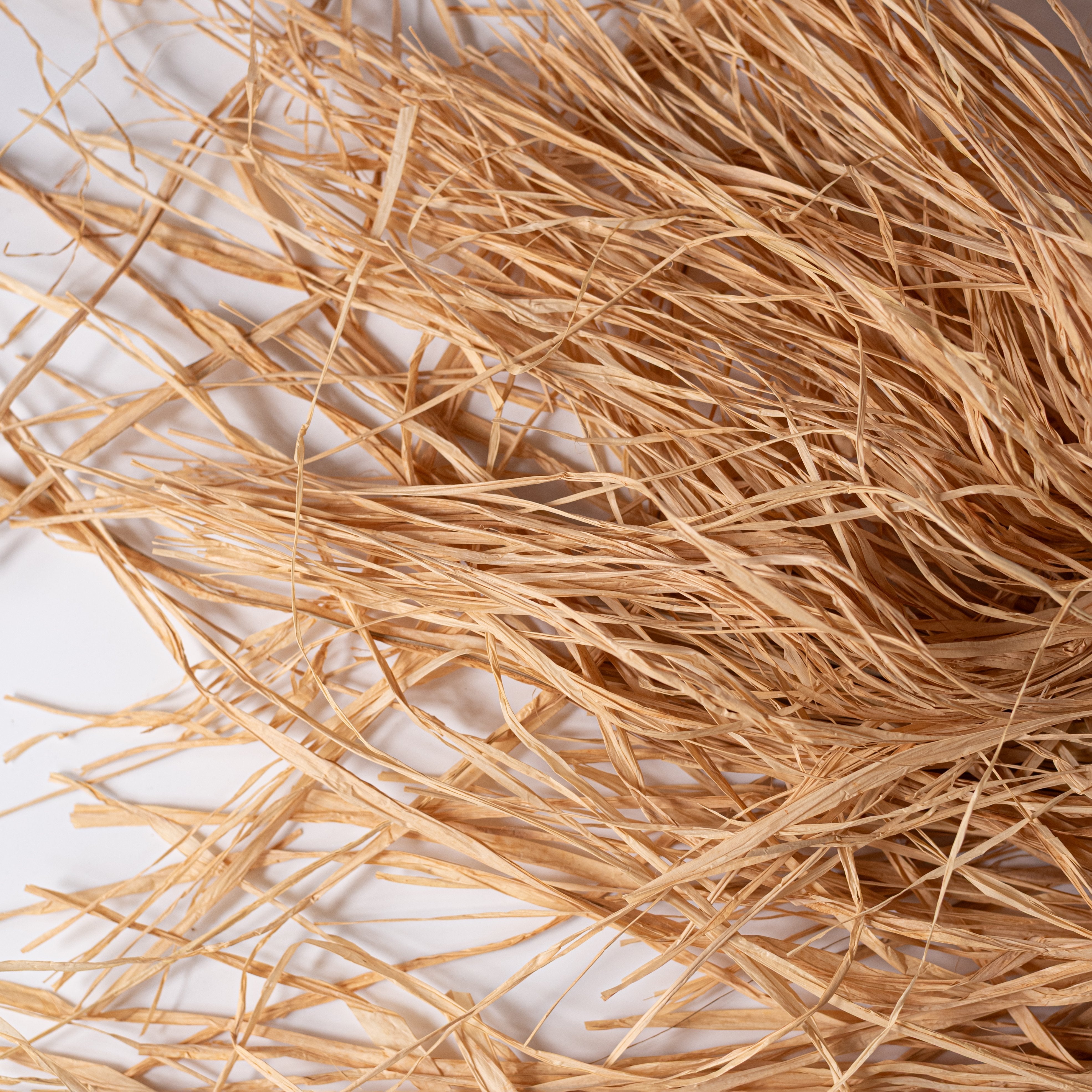 24" Trimmed Raffia Bundle (300 Grams): Natural detail photo 5