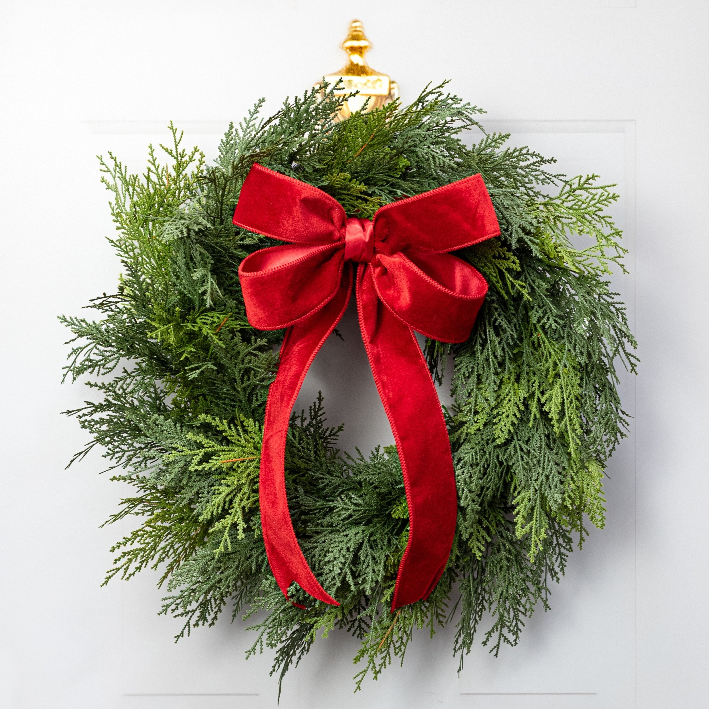 24" Western Cedar Wreath: Green Lifestyle Photo