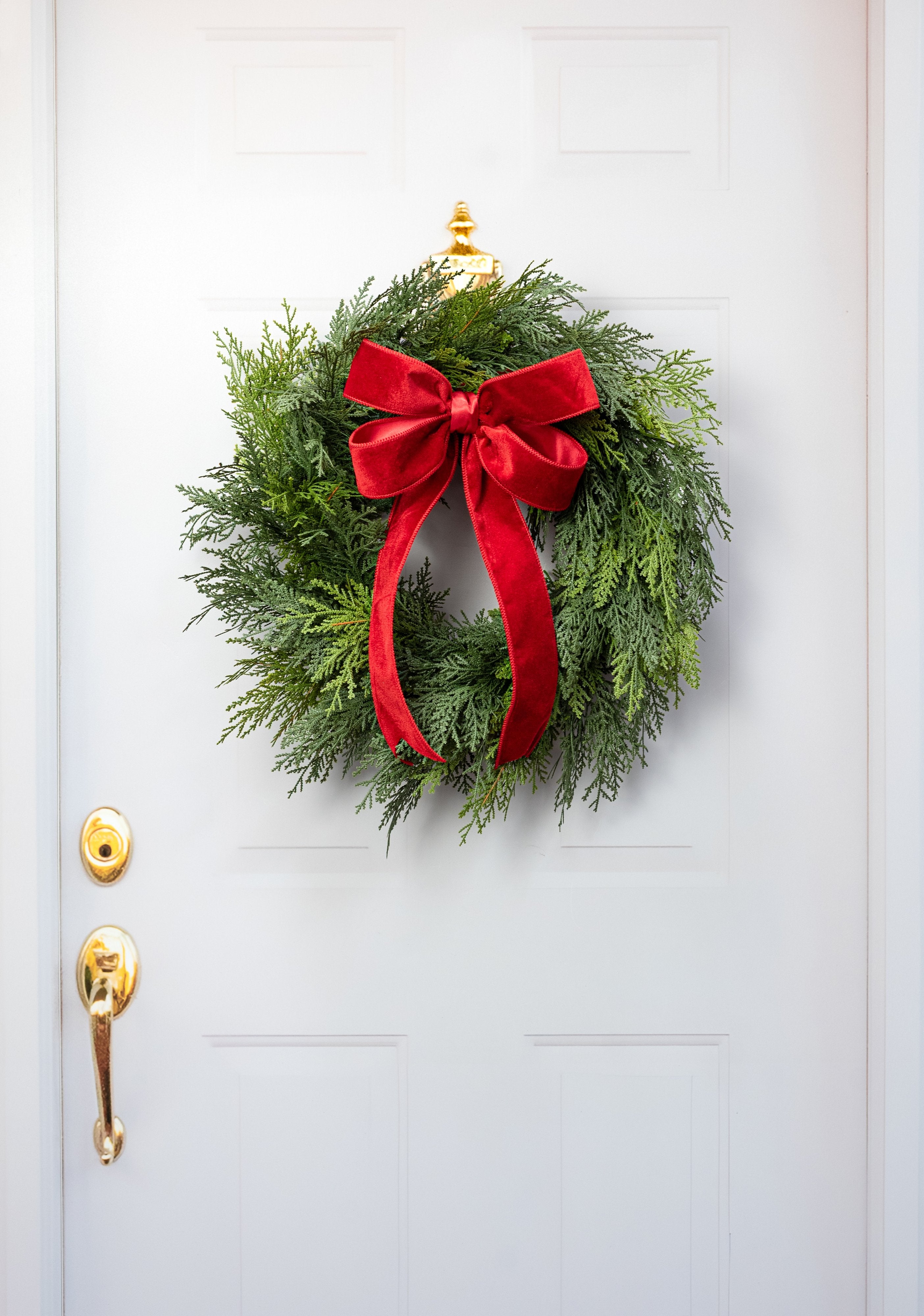 24" Western Cedar Wreath: Green detail photo 4