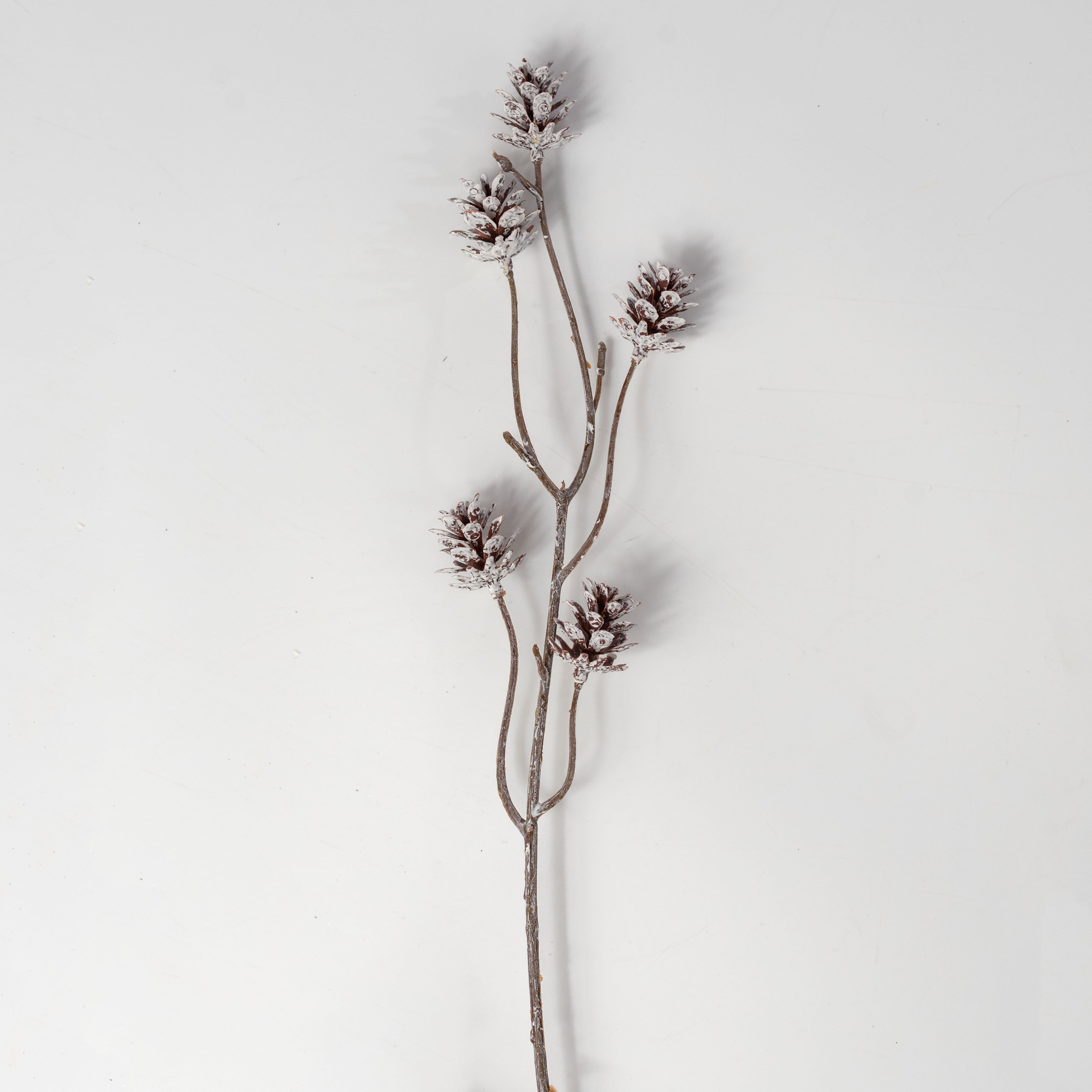 24" Whitewash Pinecone Bush: White & Natural detail photo 4