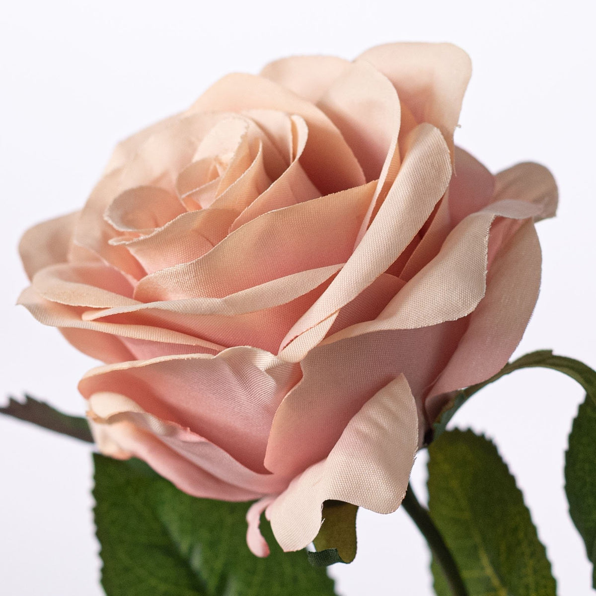 25" Single Rose Stem Spray: Mauve Pink Lifestyle Photo