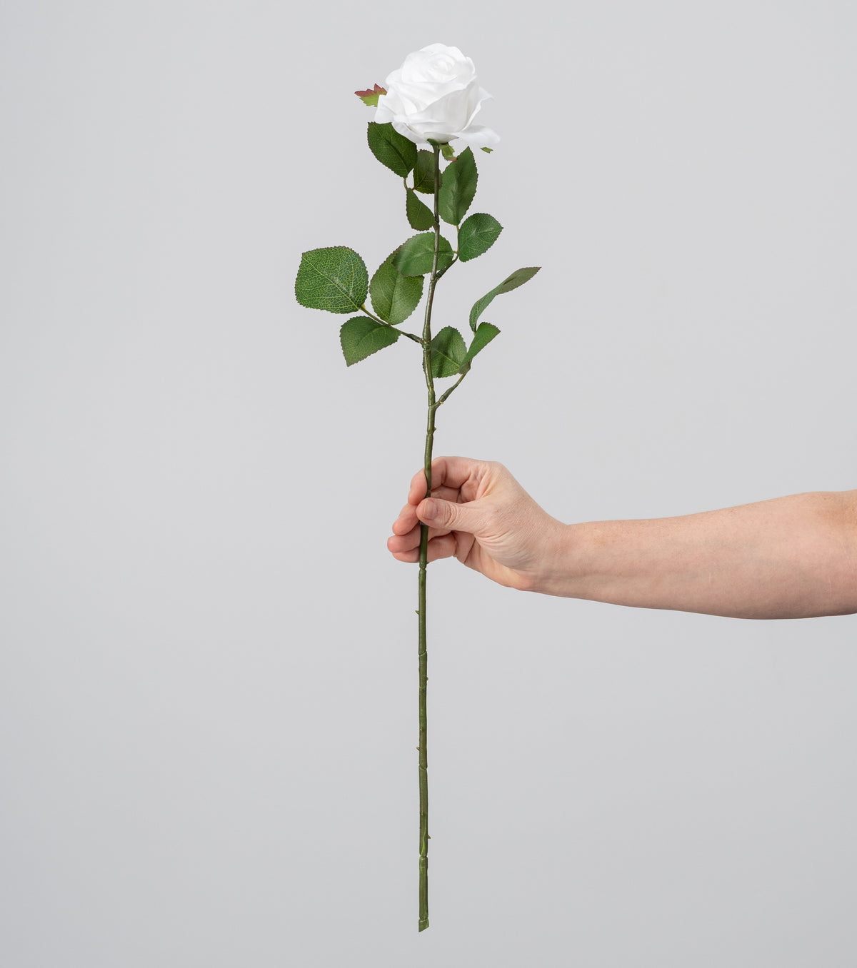 25" Single Rose Stem Spray: White detail photo 3