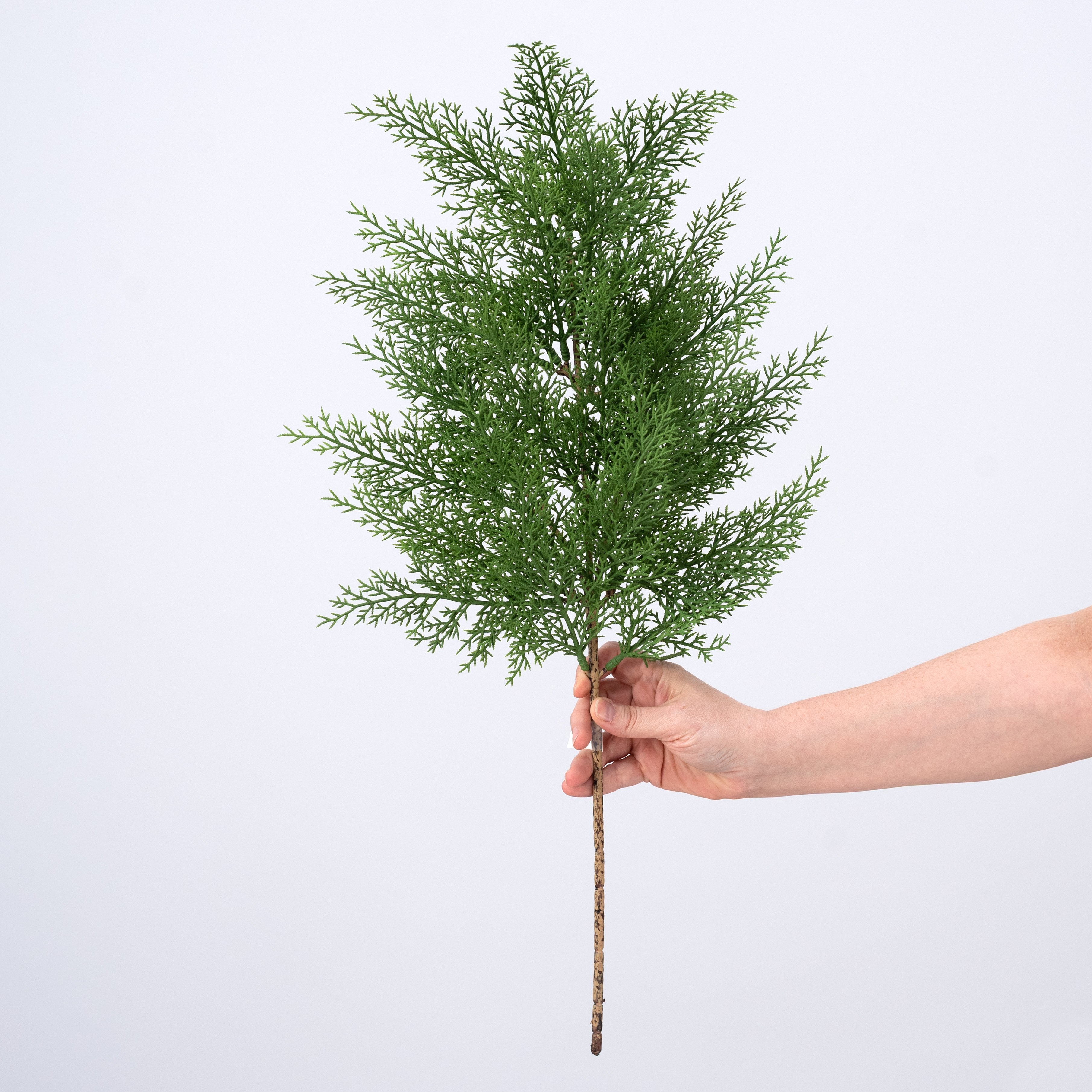 26" Evergreen Cedar Spray: Green detail photo 3