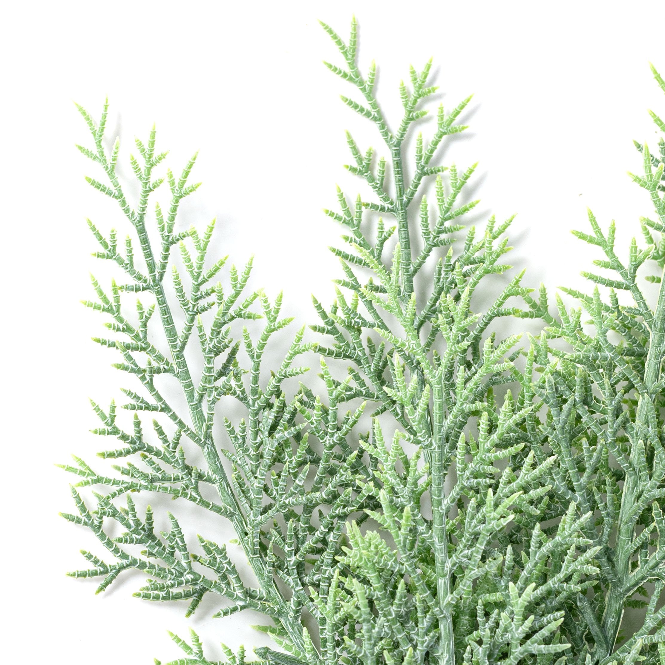 26" Evergreen Cedar Spray: Powdered Green Lifestyle Photo