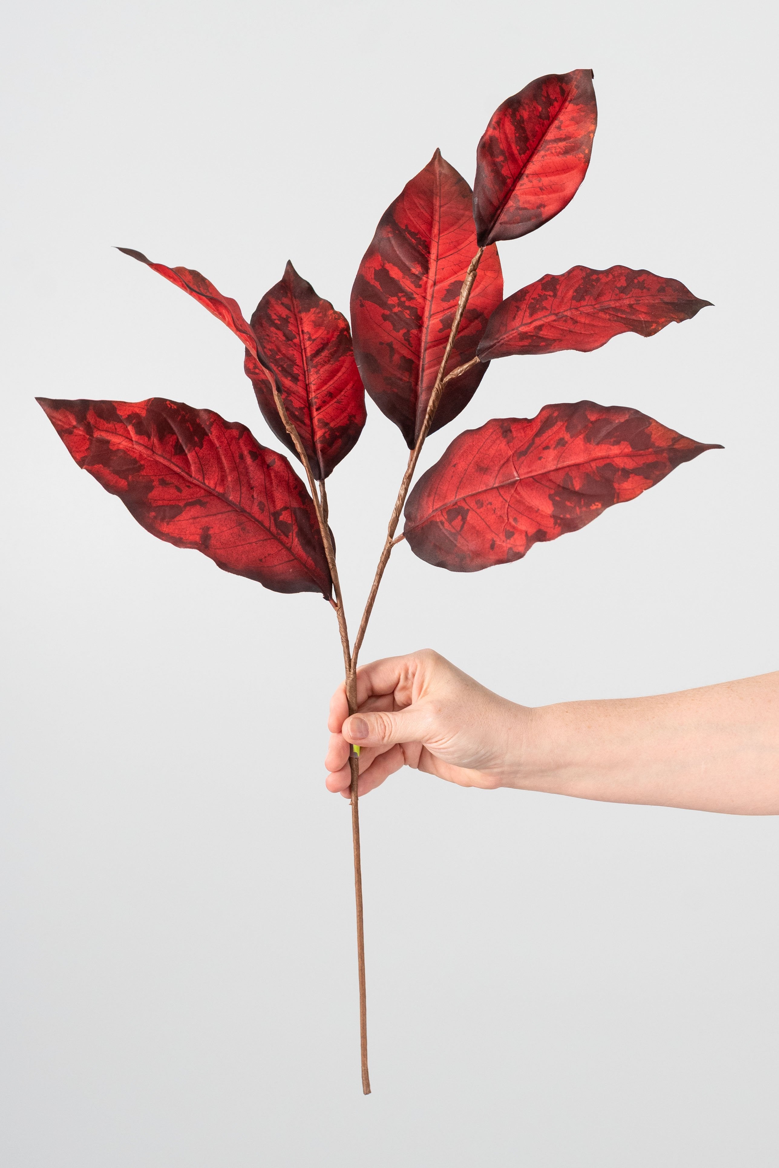 26" Fall Magnolia Leaves Spray: Brick detail photo 3