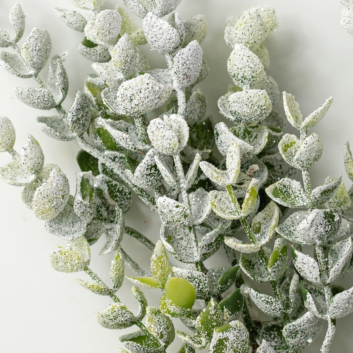 26" Snow Covered Eucalyptus Spray: White & Green Lifestyle Photo