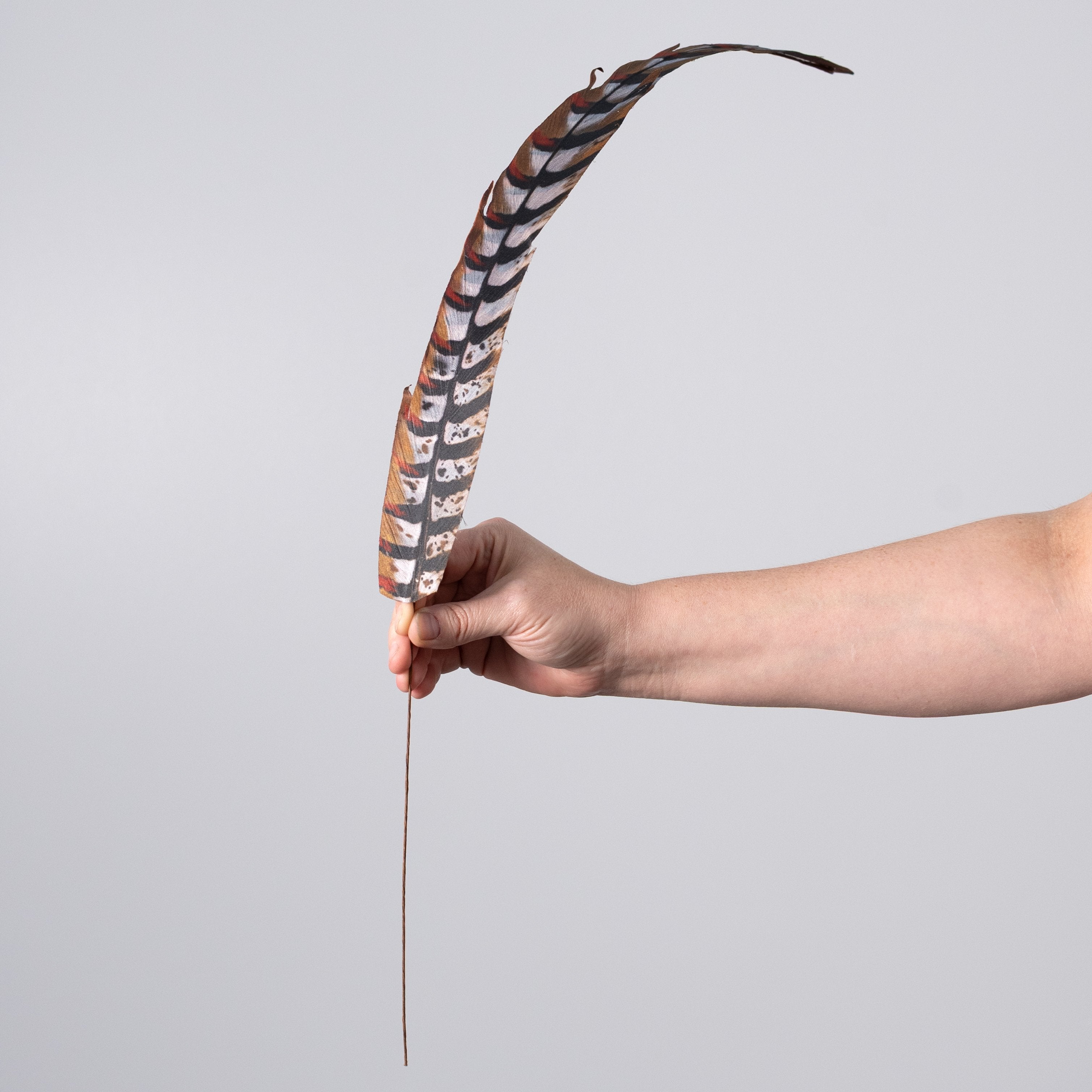 27" Faux Pheasant Feather Spray: Beige, Black & Orange detail photo 3