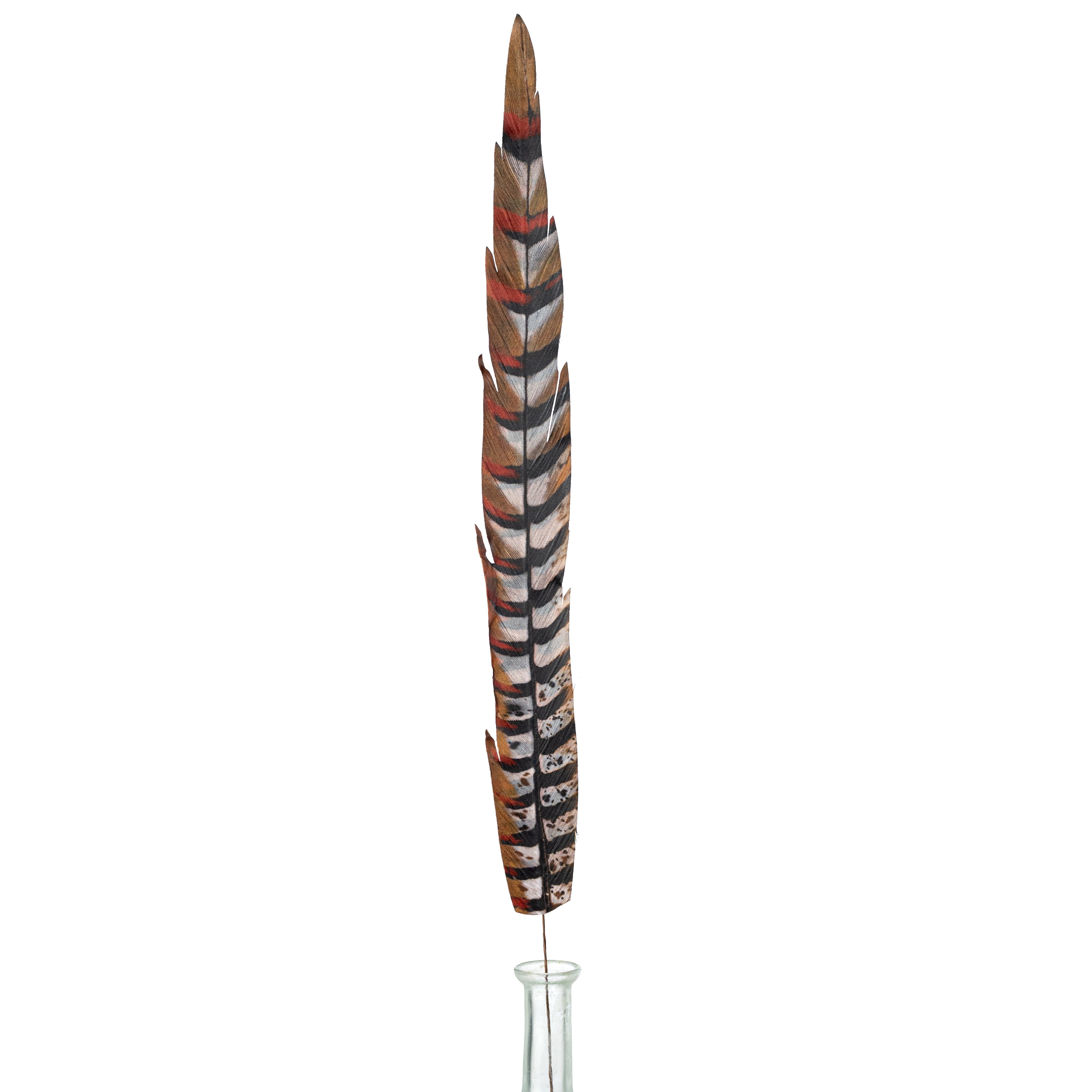 27" Faux Pheasant Feather Spray: Beige, Black & Orange Item Number: MJ0343F9